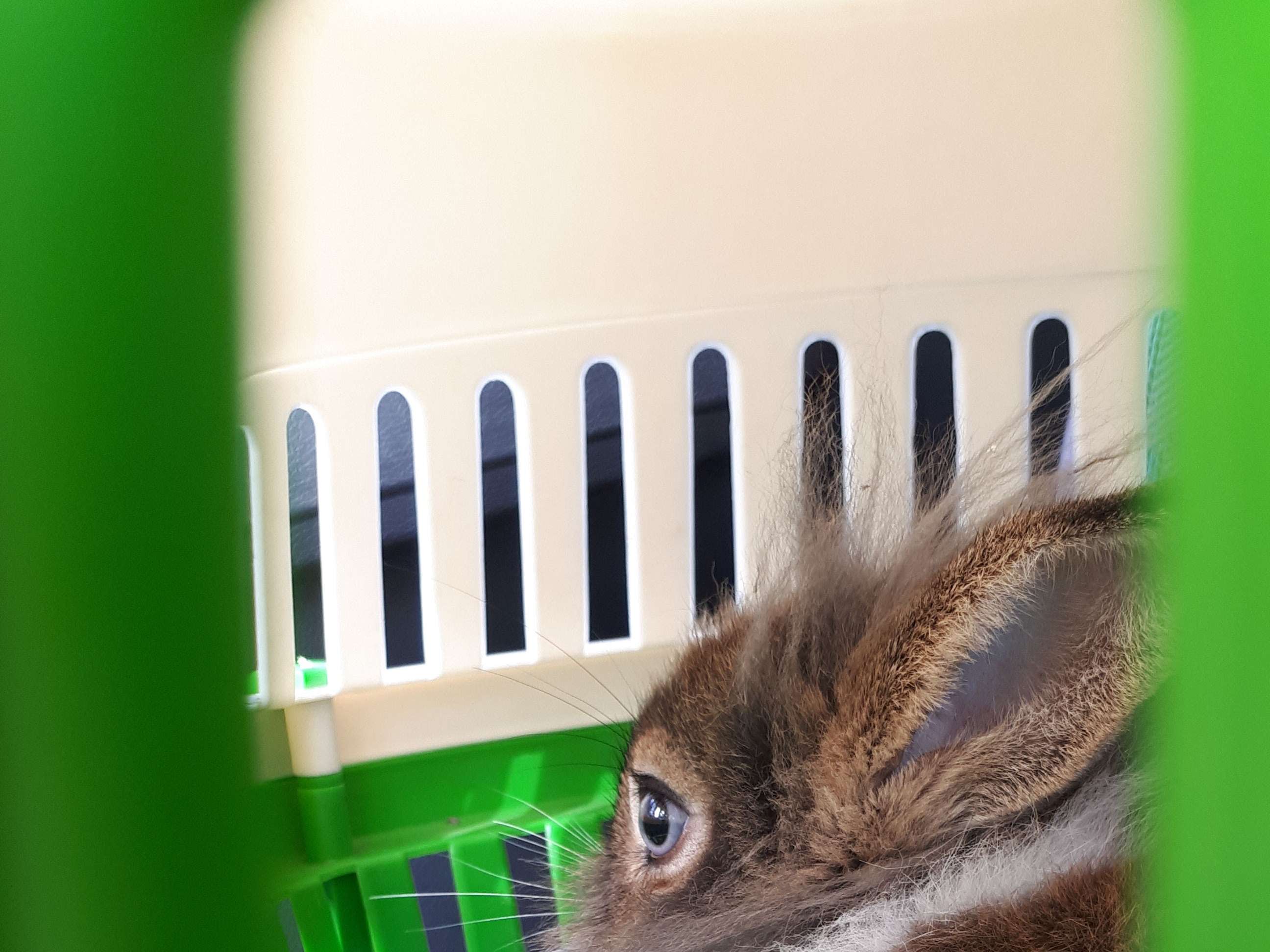 Ansicht 3 von Tierarztpraxis Dr. Schmidt
