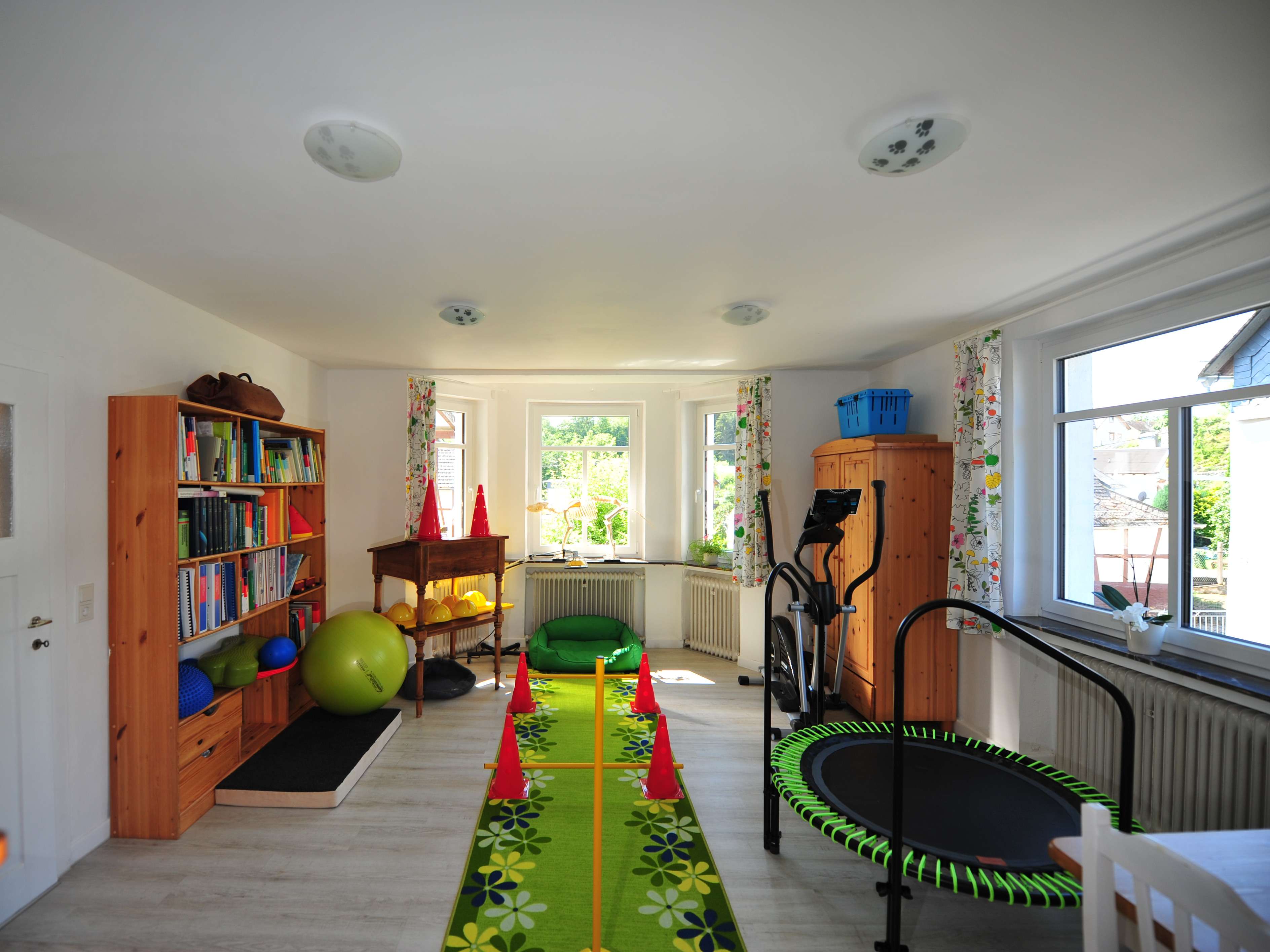 View 2 of Kleintierpraxis für Physiotherapie &Osteopathie
