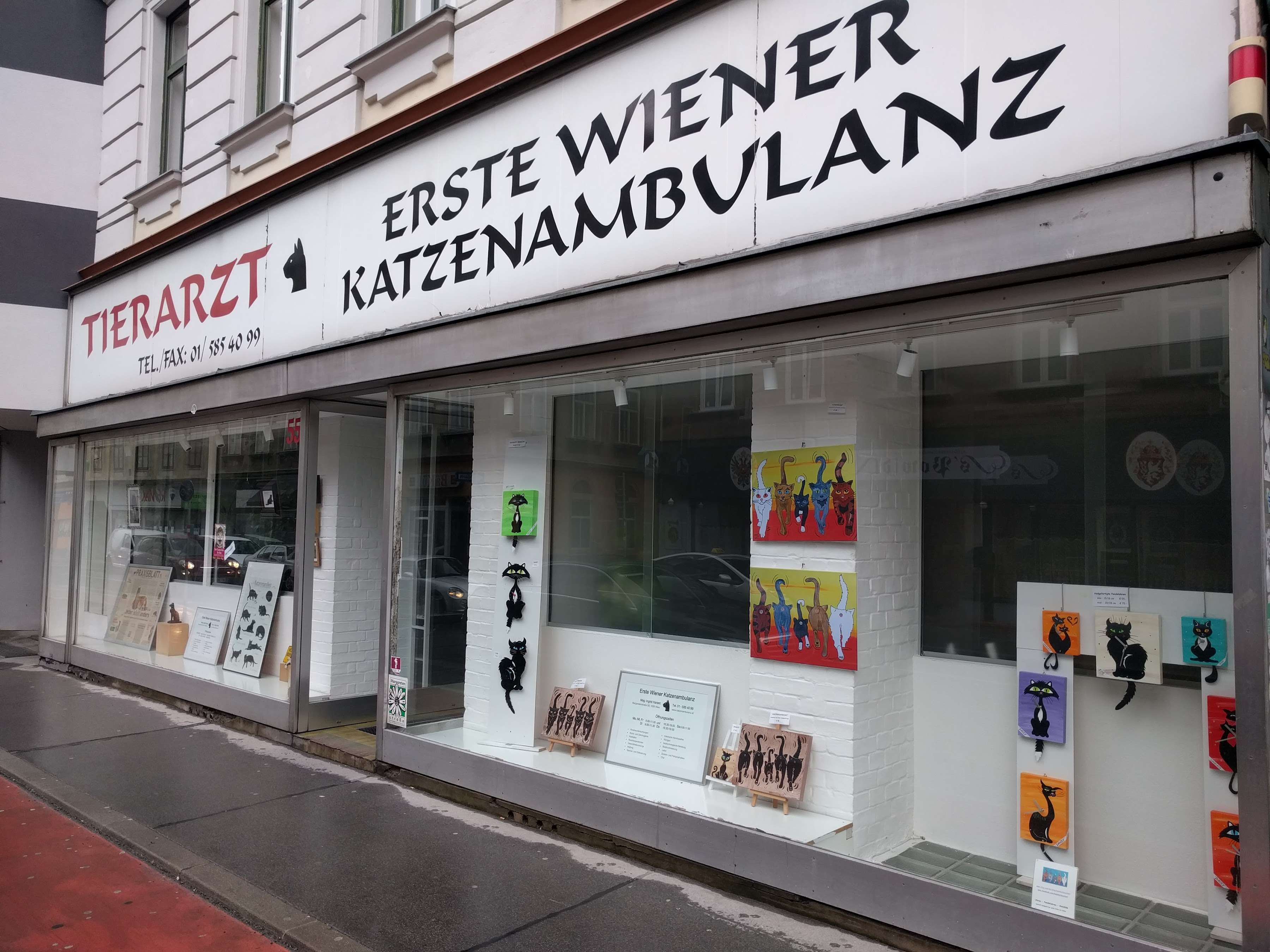 Ansicht 2 von Erste Wiener Katzenambulanz Mag. med vet Ingrid Harant