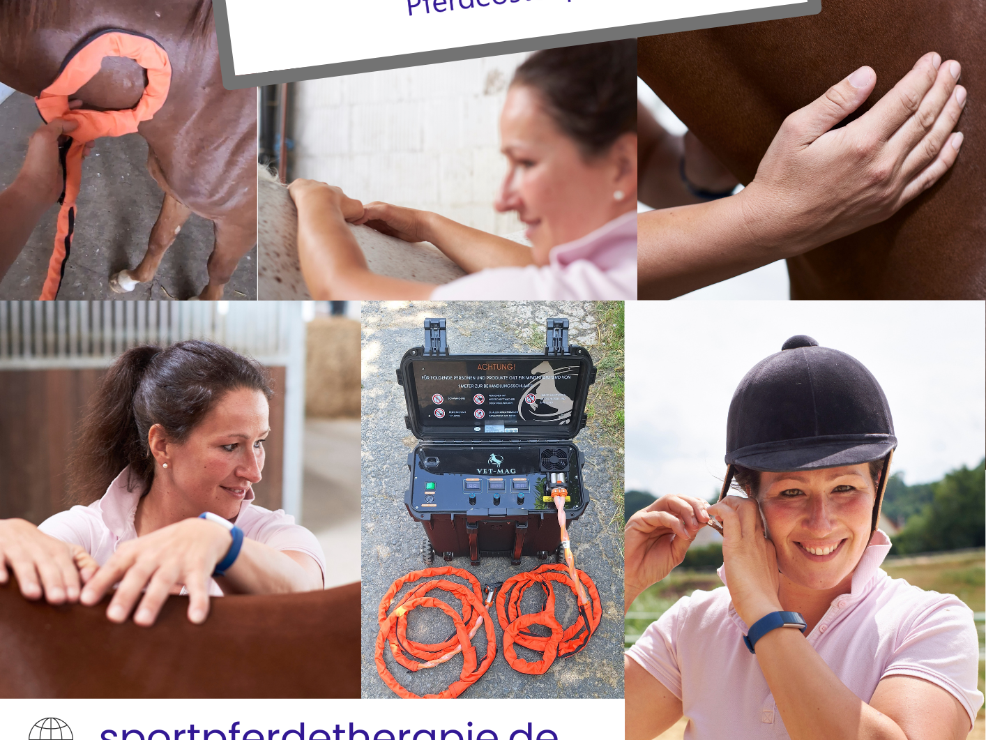 Ansicht 3 von Sportpferdetherapie Katharina Oestreich