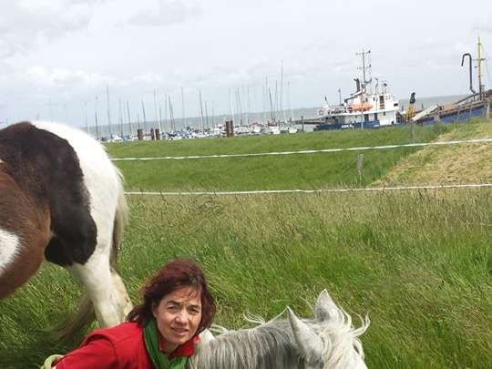 Ansicht 1 von Tierarztpraxis Janine Bahr- van Gemmert
