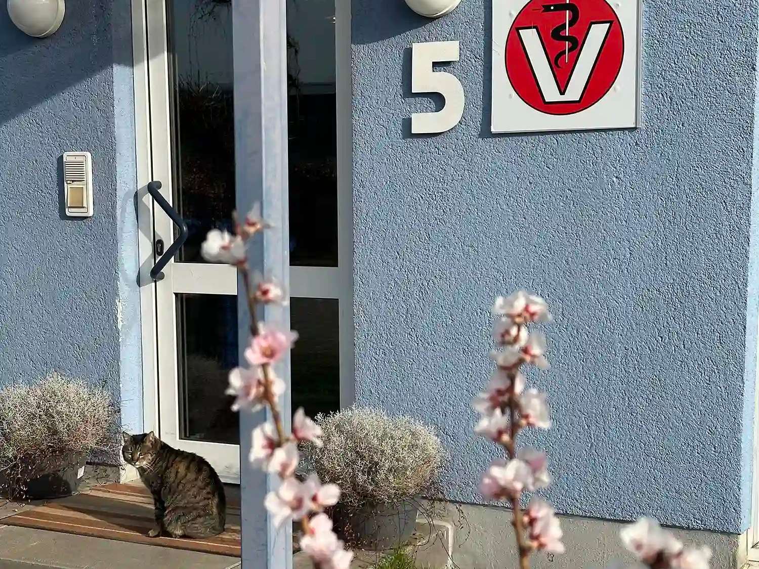 Ansicht 5 von Keidel Kirsten - Tierärztin