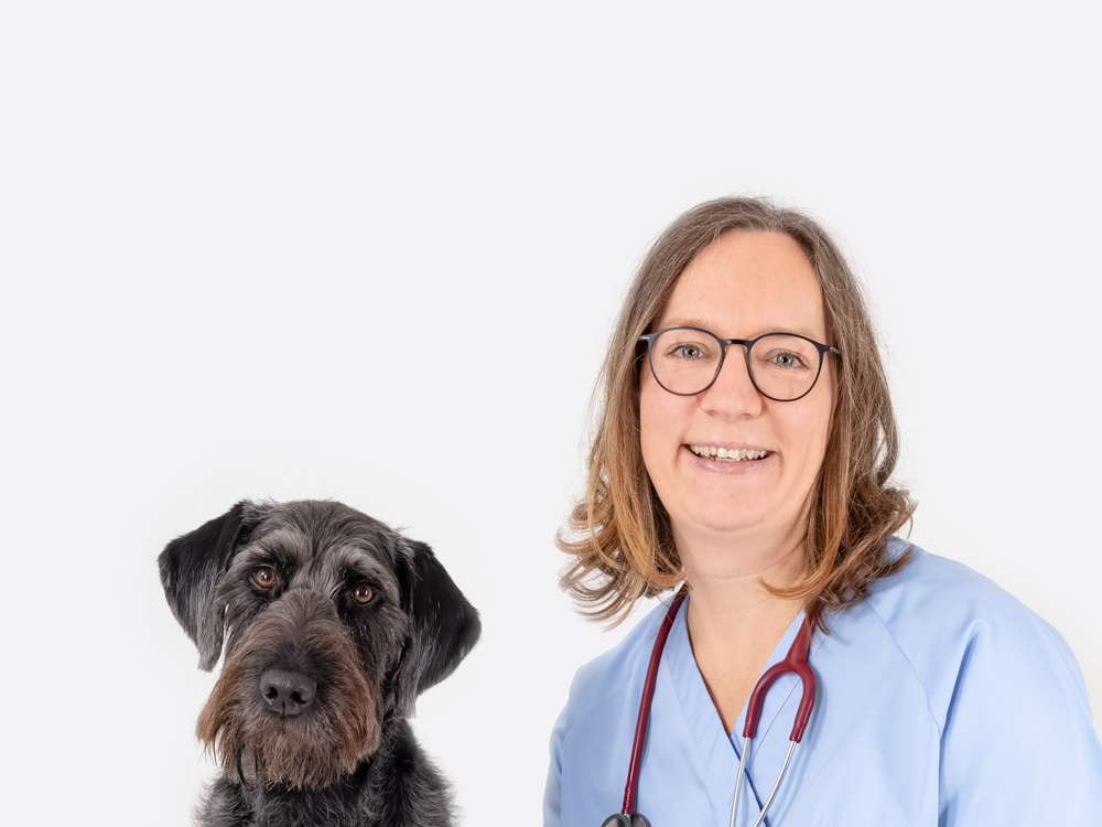 Ansicht 2 von Tierarztpraxis Bettina Bombosch in Leonstein für Hund und Katze