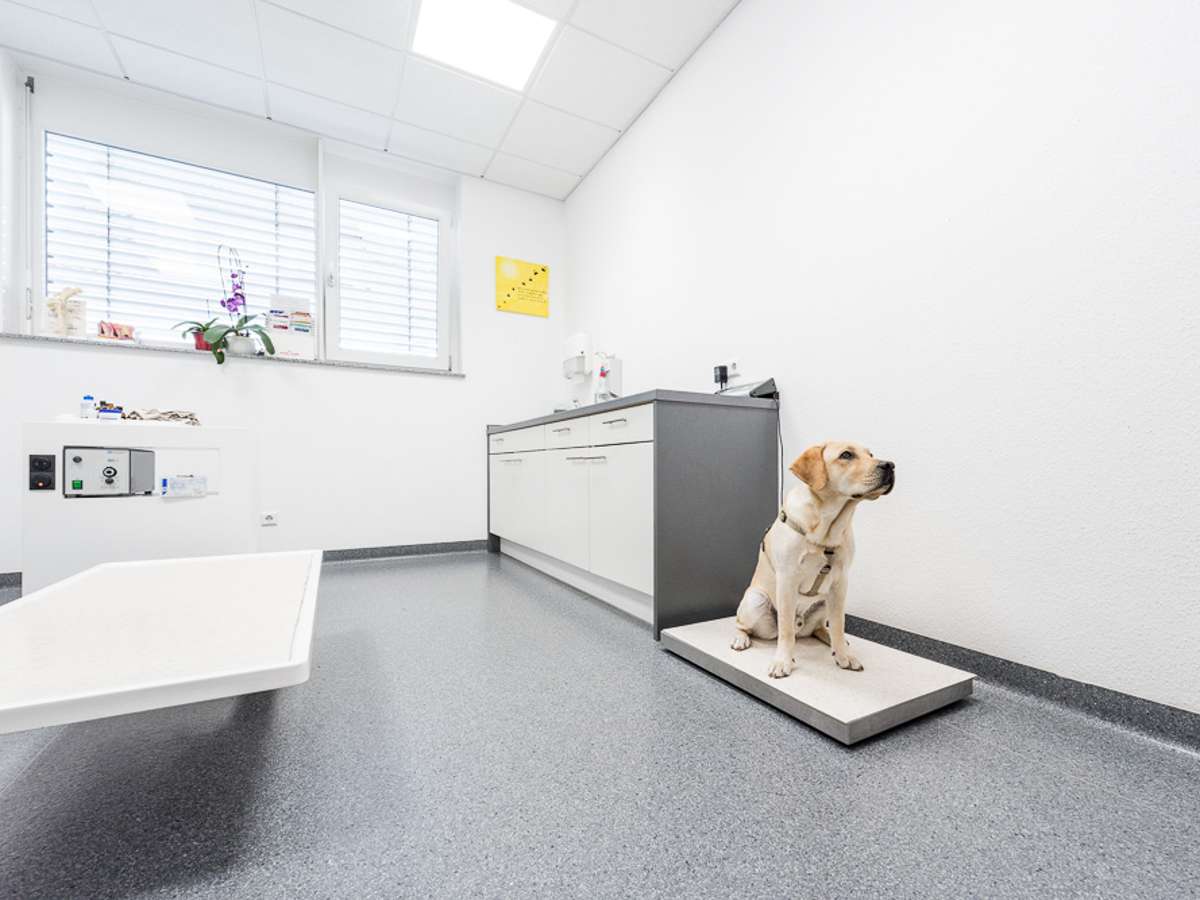 Ansicht 3 von Tierarzt Villforth Heilbronn, Kleintierpraxis Dr. Yvonne Villforth