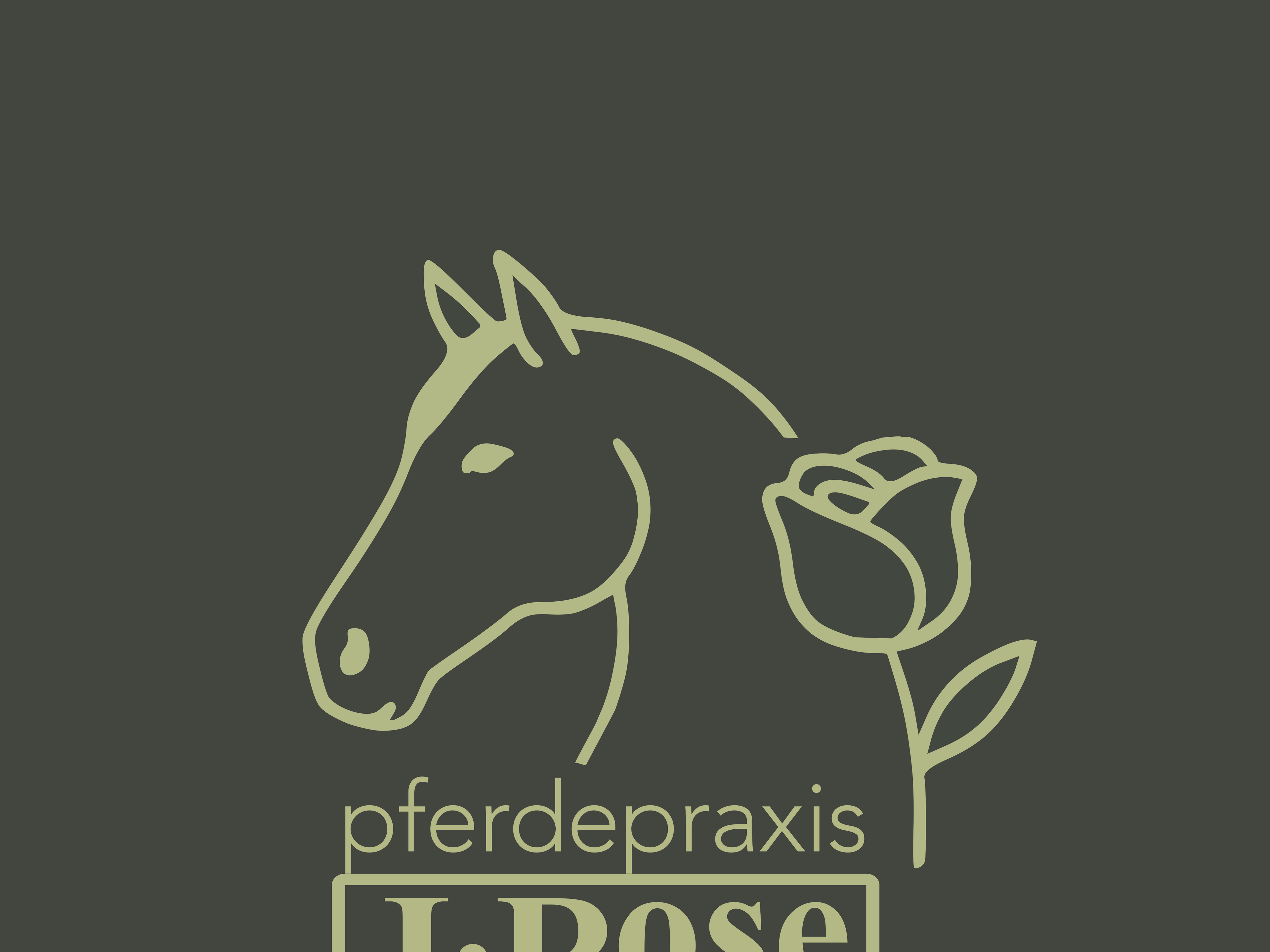 Ansicht 3 von Pferdepraxis Rose