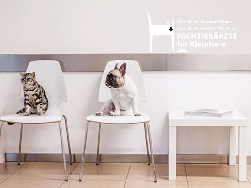 Ansicht 1 von Tierärztliche Gemeinschaftspraxis für Kleintiere - Dr. Astner und Dr. Neumaier