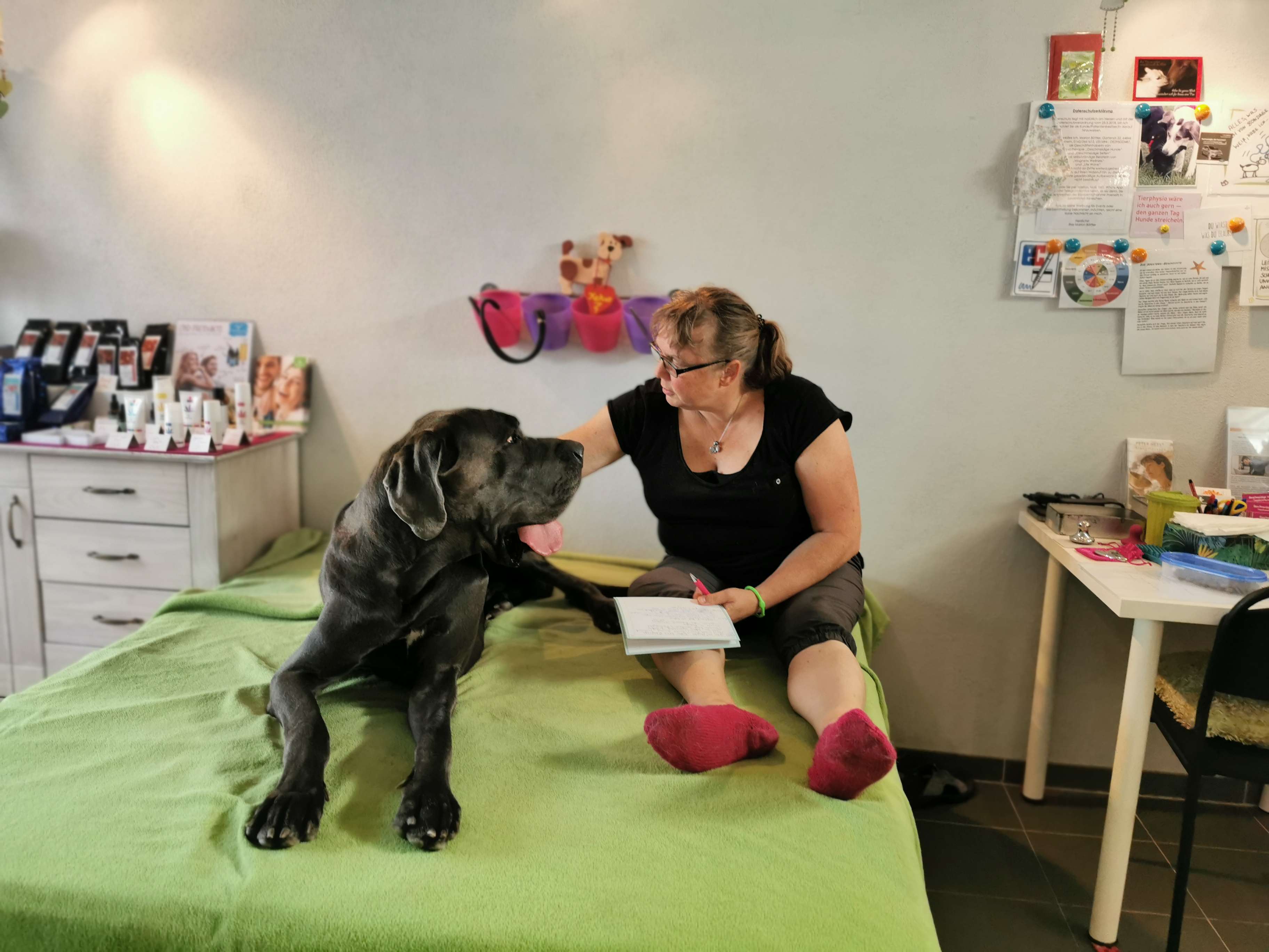 View 1 of Tierphysiotherapeutin Marion Böttler
