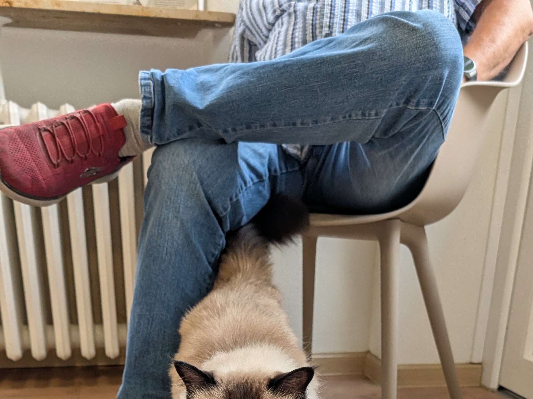 Ansicht 2 von Kleintierpraxis Weiche