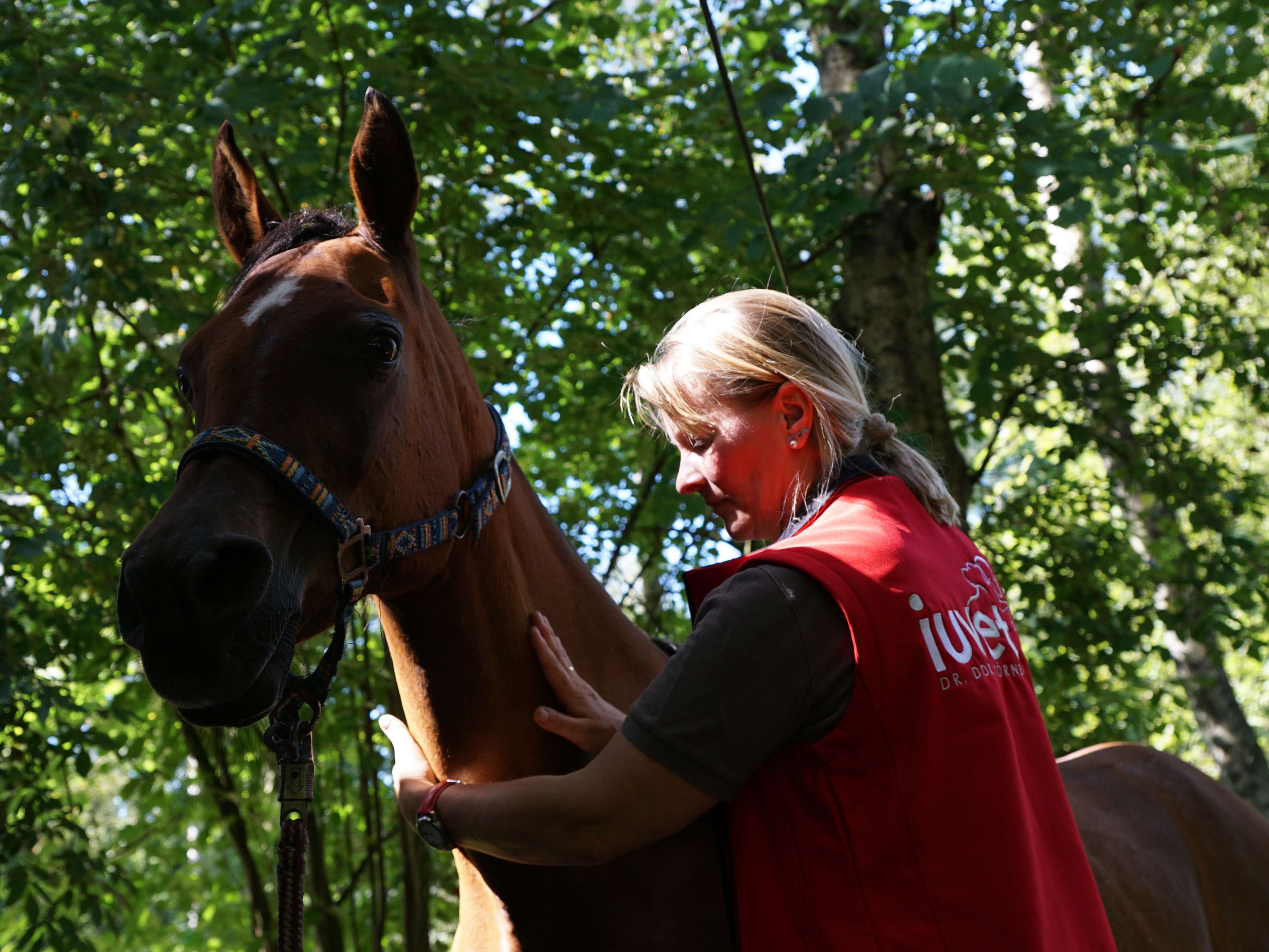 View 4 of IUVET Dr.med.vet. Doris Timmann