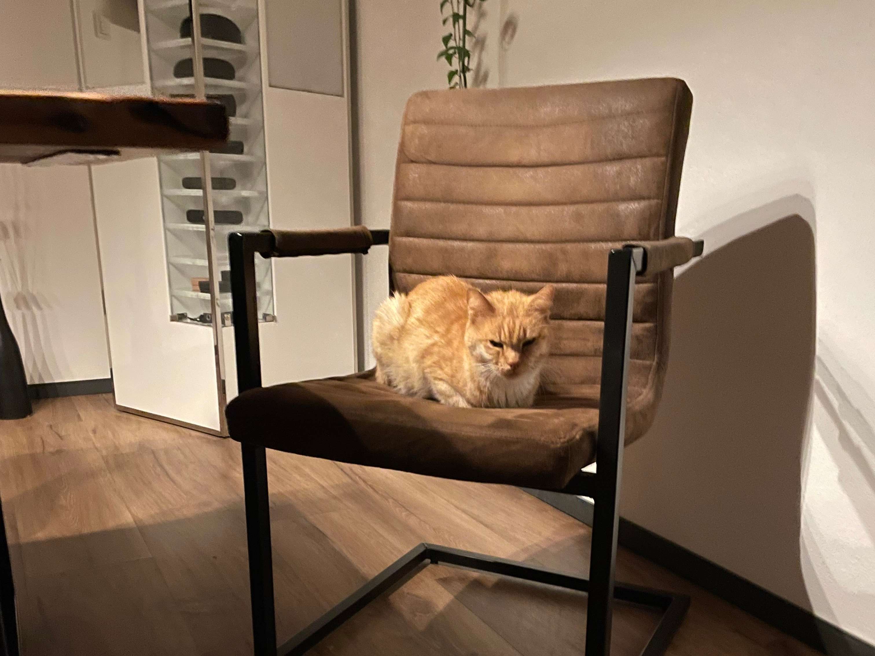 Ansicht 2 von Dr.med.vet. Falk Richter Tierarzt