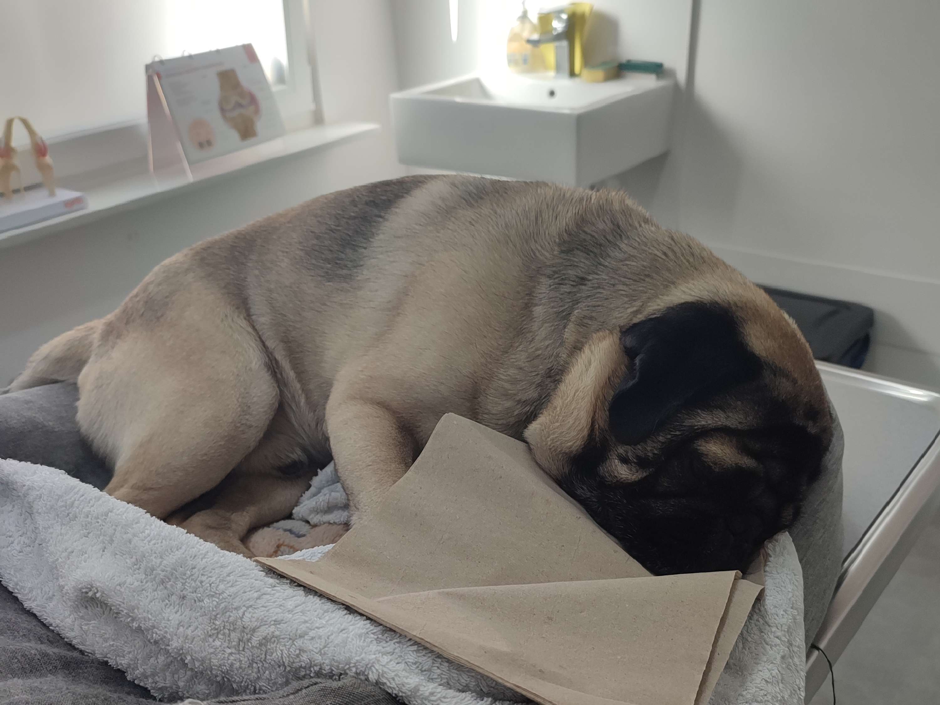 Ansicht 3 von Tierklinik am Scheibenberg