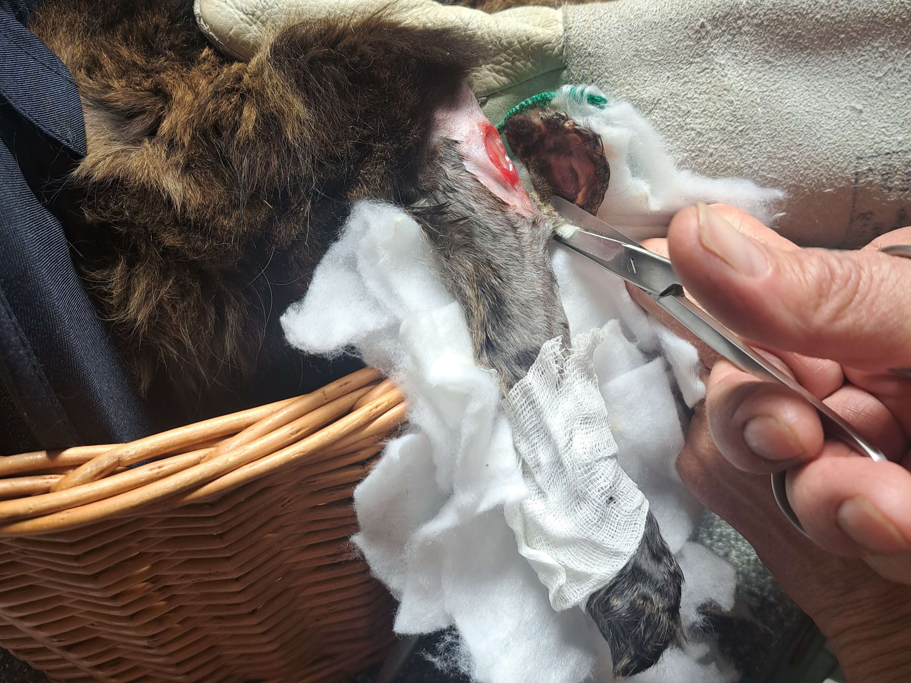 Ansicht 1 von Tierarztpraxis Eichhäuser Hof