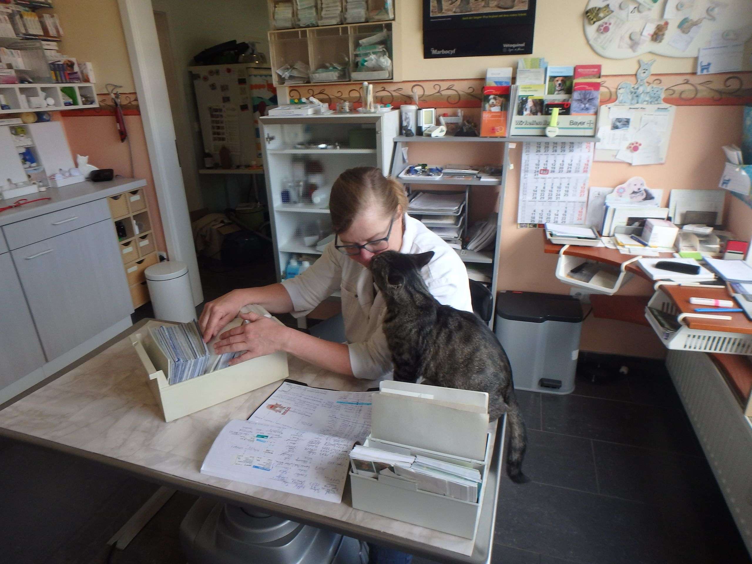 Ansicht 2 von Dr.med.vet. Veronika Madeiczyk Kleintierpraxis