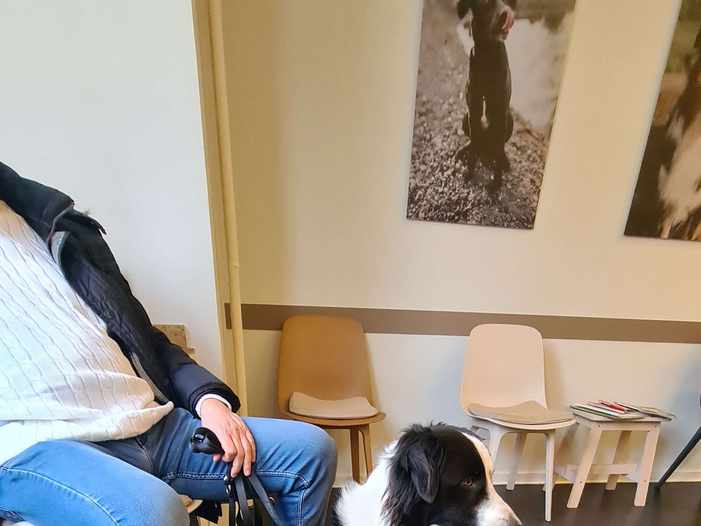 Ansicht 1 von Tierärztin Christine Cilurzo