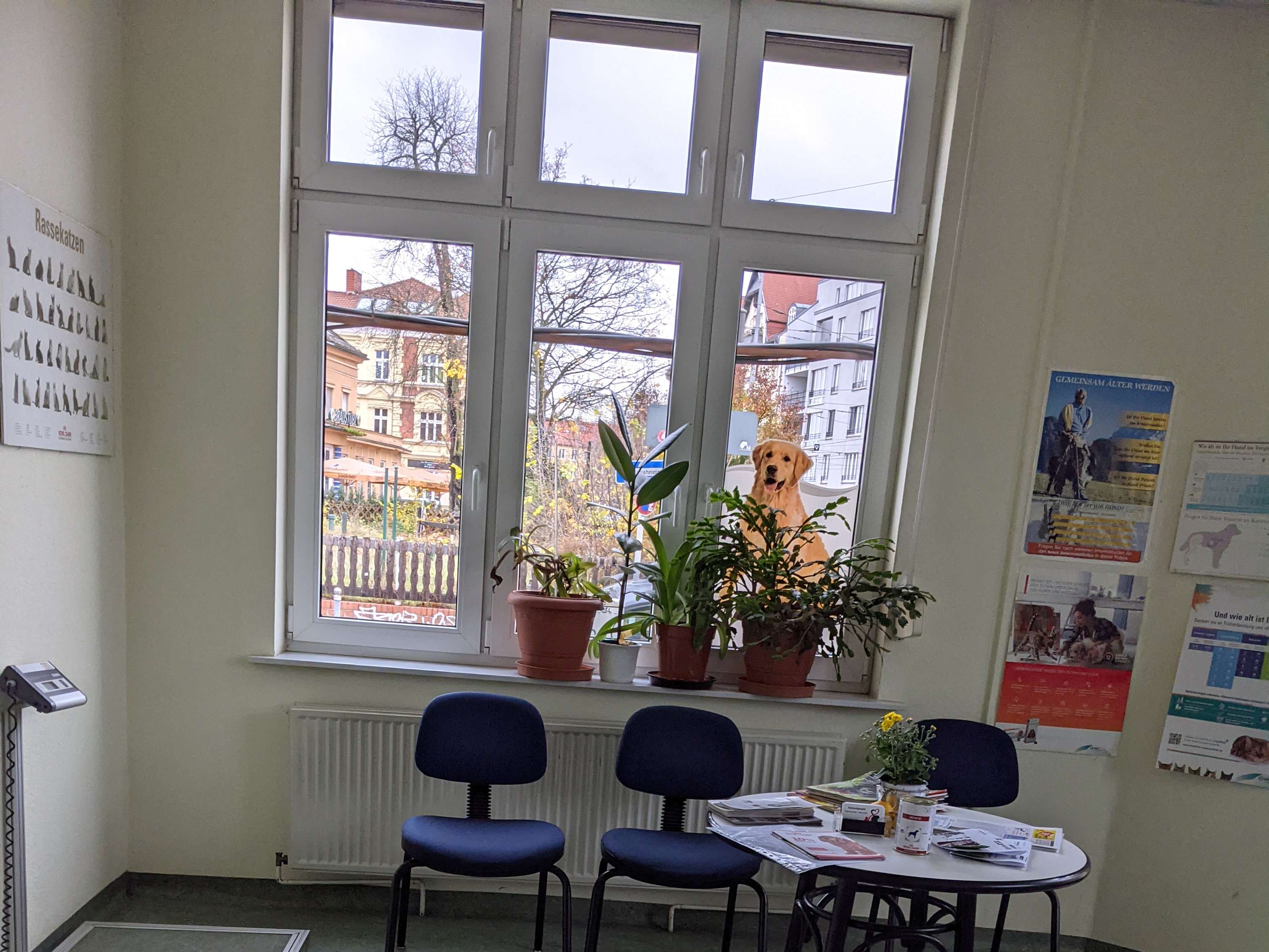 Ansicht 1 von Tierarztpraxis Lange