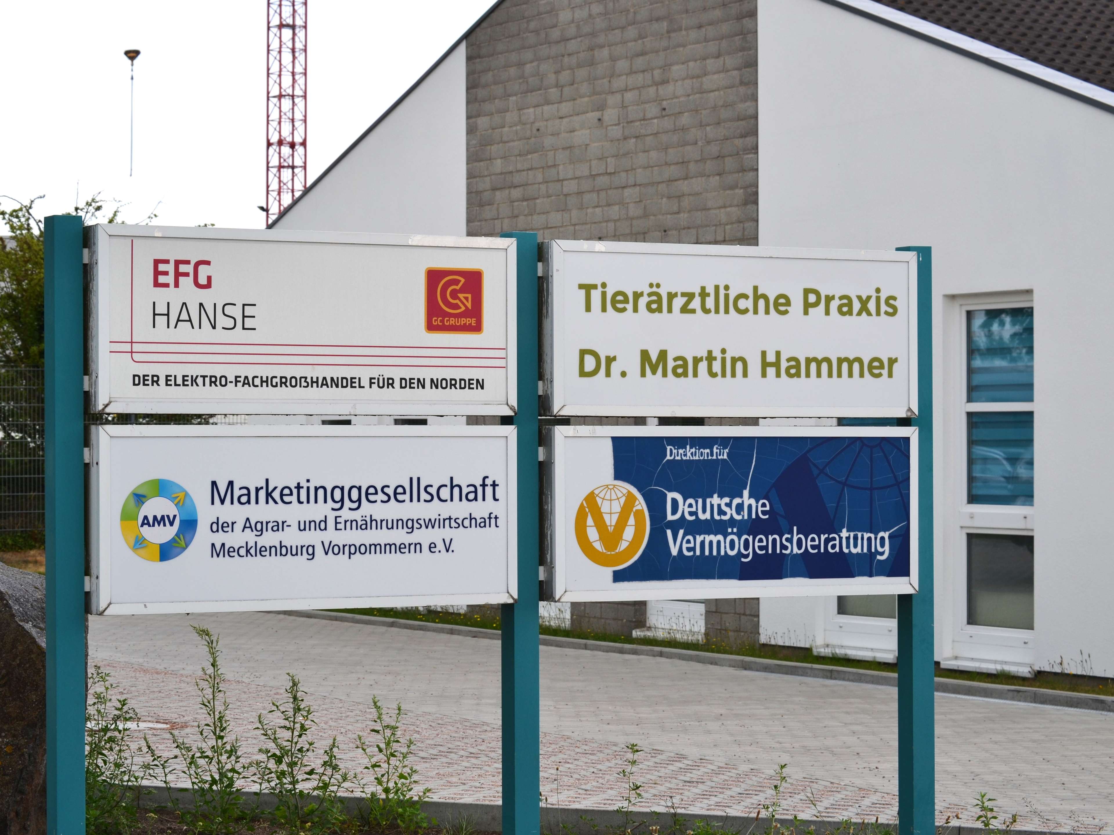 View 2 of Dr. med. vet Martin Hammer
