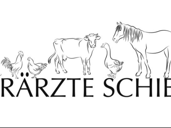 Ansicht 2 von TIERÄRZTE SCHIESSL KILB