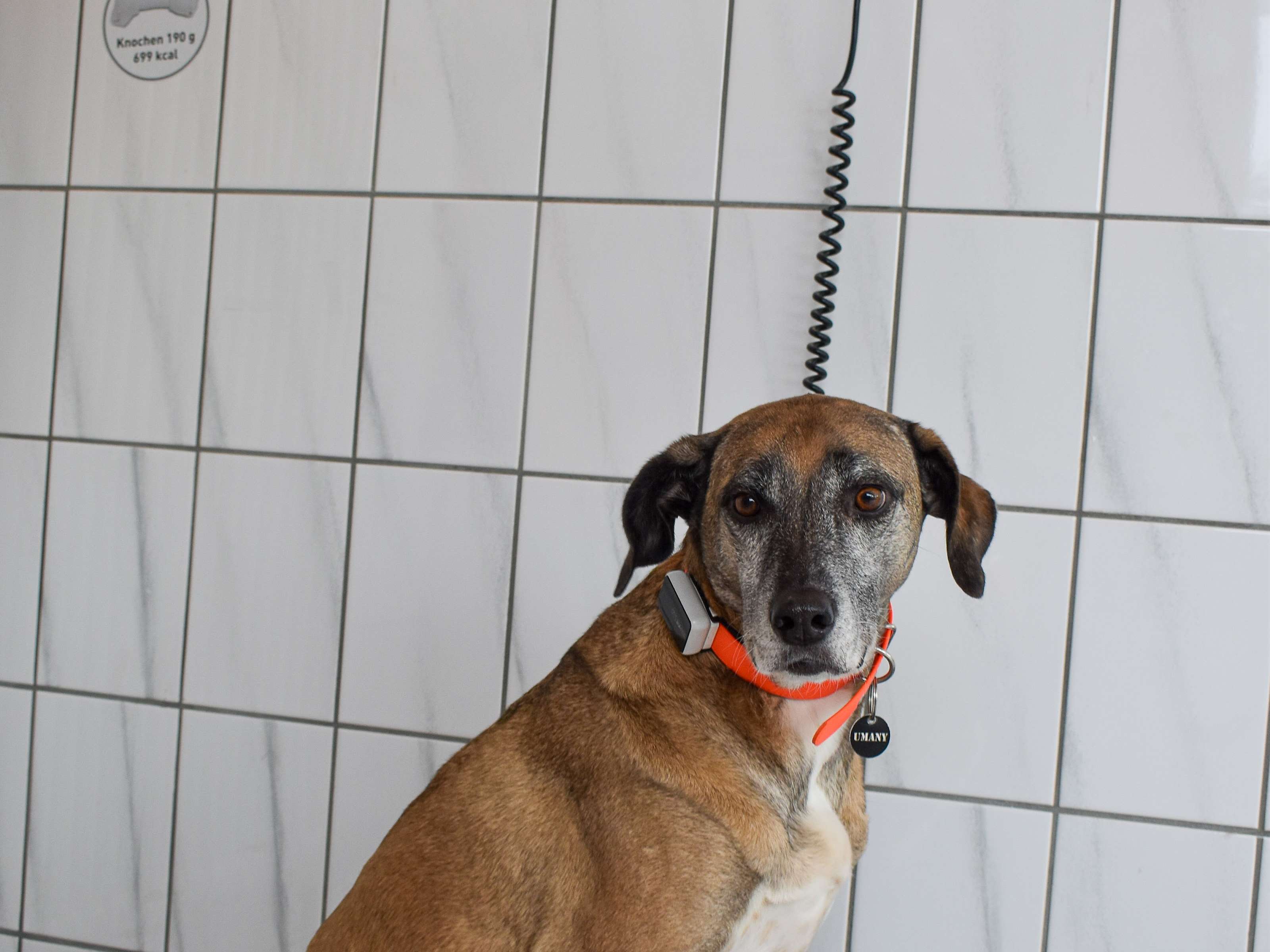 View 3 of Dr.med.vet. Annerose Mosbach Tierärztin