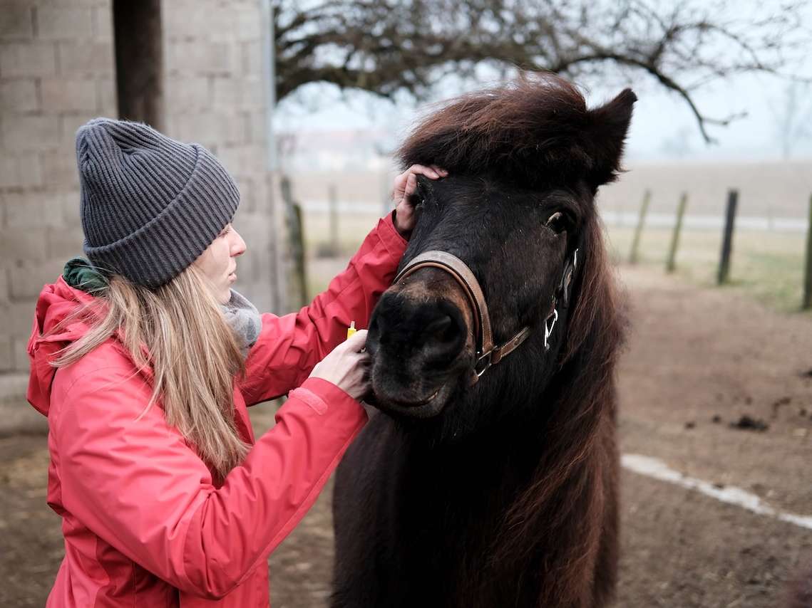 Ansicht 2 von Equisana - Mobile Pferdepraxis & Veterinärchiropraktik Mag.med.vet. Daniela Kaltenböck