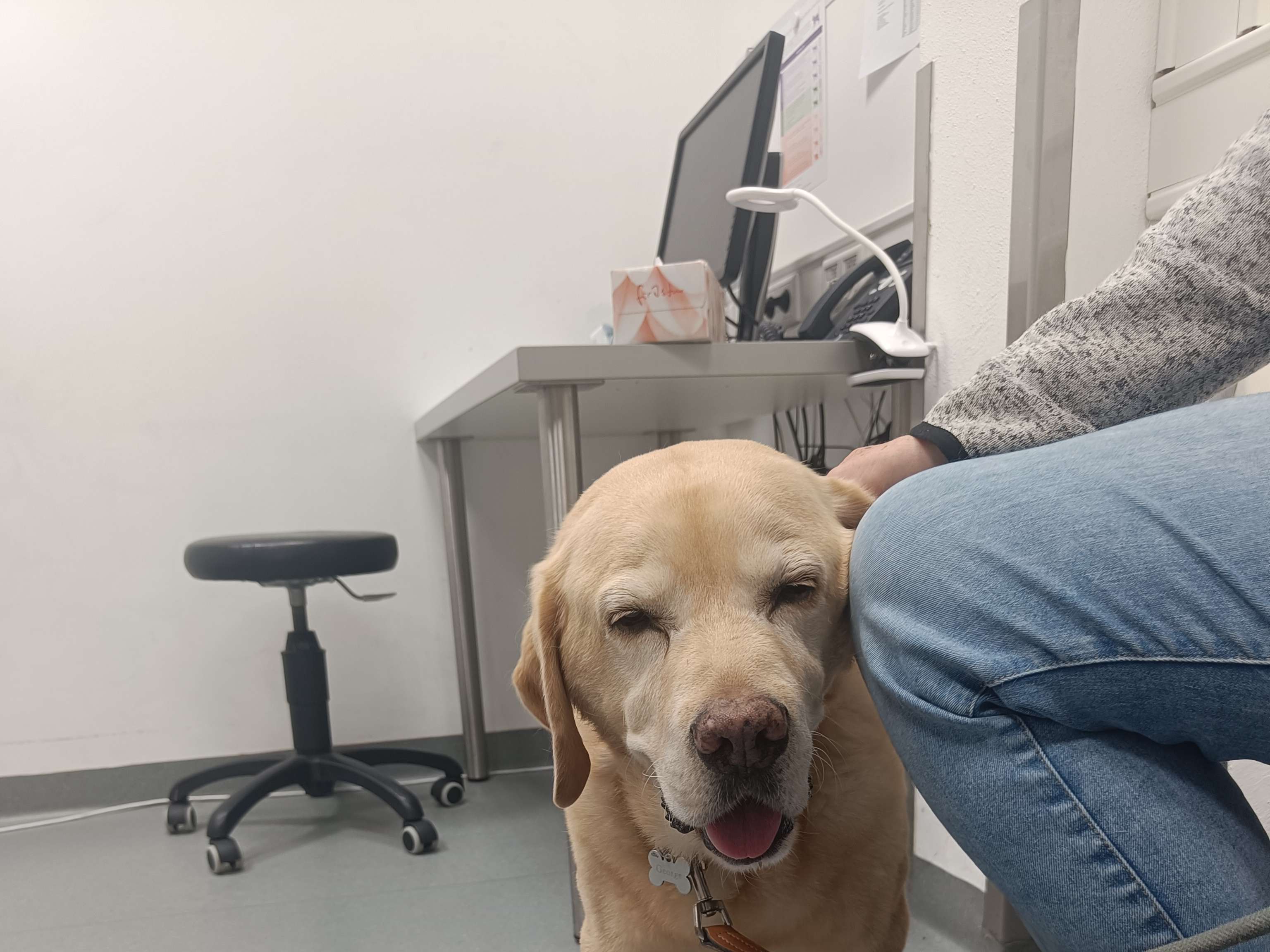 Ansicht 1 von AniCura Tierklinik Haar