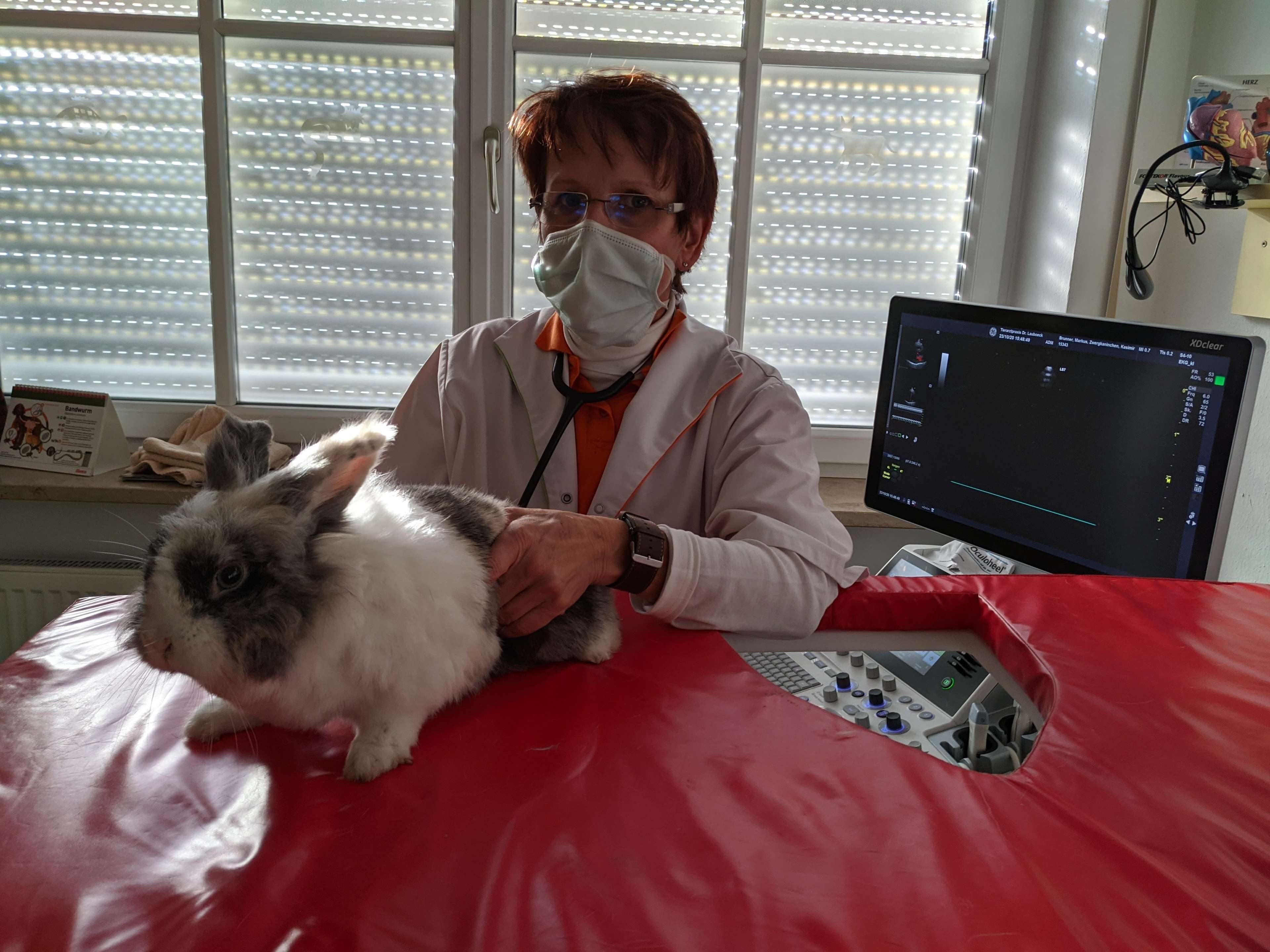 Ansicht 3 von Dr. med. vet. Siegrun Lauboeck
