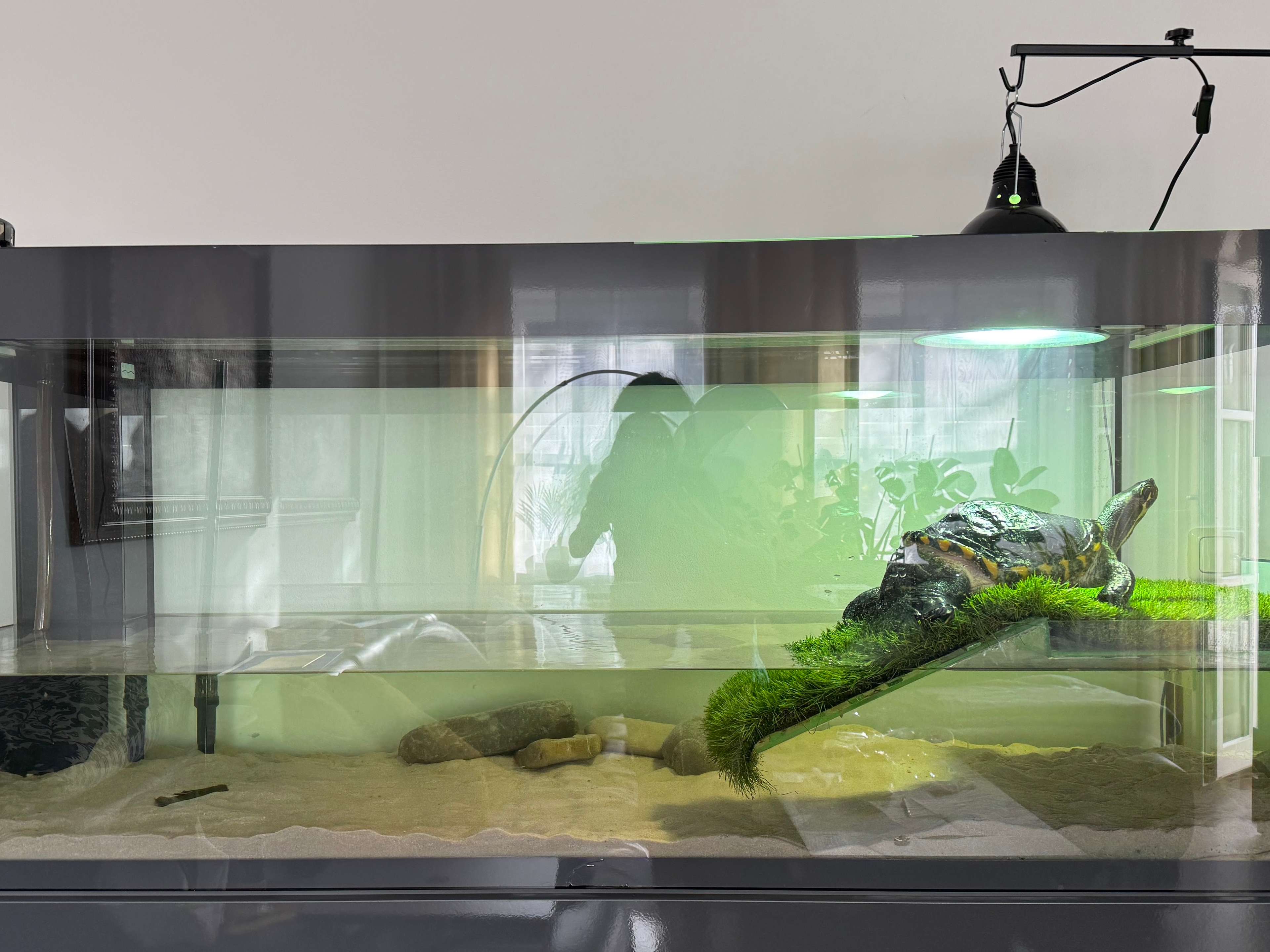View 3 of Tierarztpraxis Dr. Thomas Bauer - Reptilien & Fische
