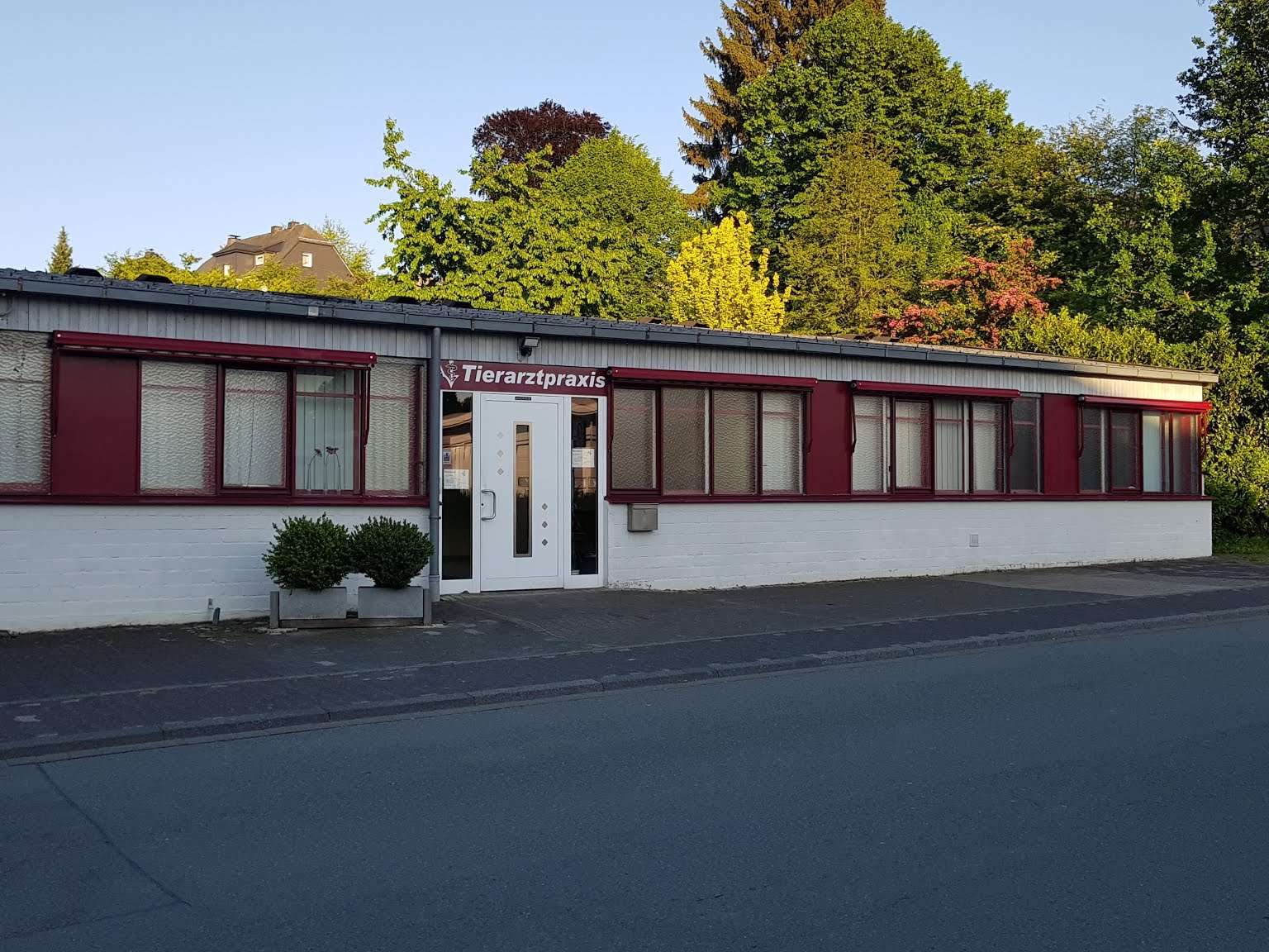 Ansicht 3 von Astrid Vorderwülbecke Tierärztin