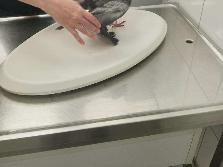 Ansicht 1 von Tierklinik Krauß