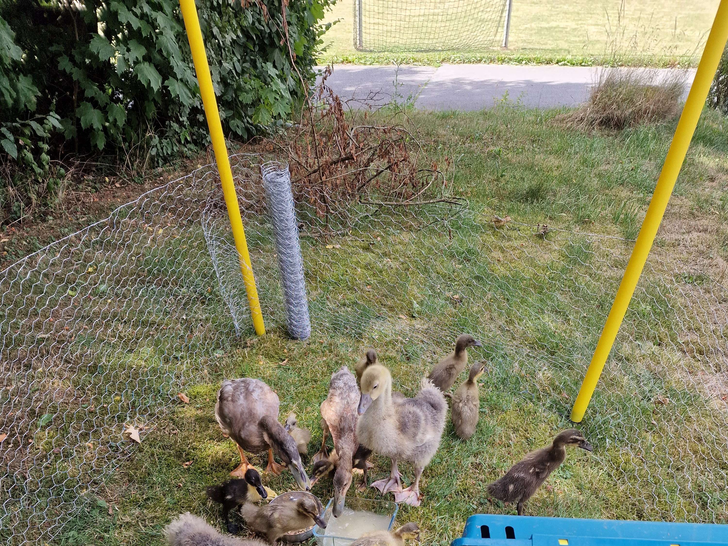 Ansicht 1 von Tierarzt Dr. med. vet. Achim Allgaier