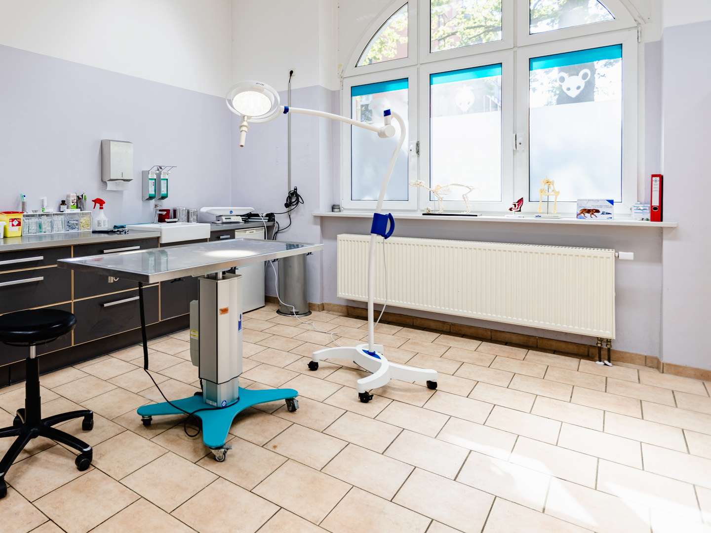 Ansicht 3 von Tierarzt Teltow - Tierarztpraxis Dr. Riedmiller