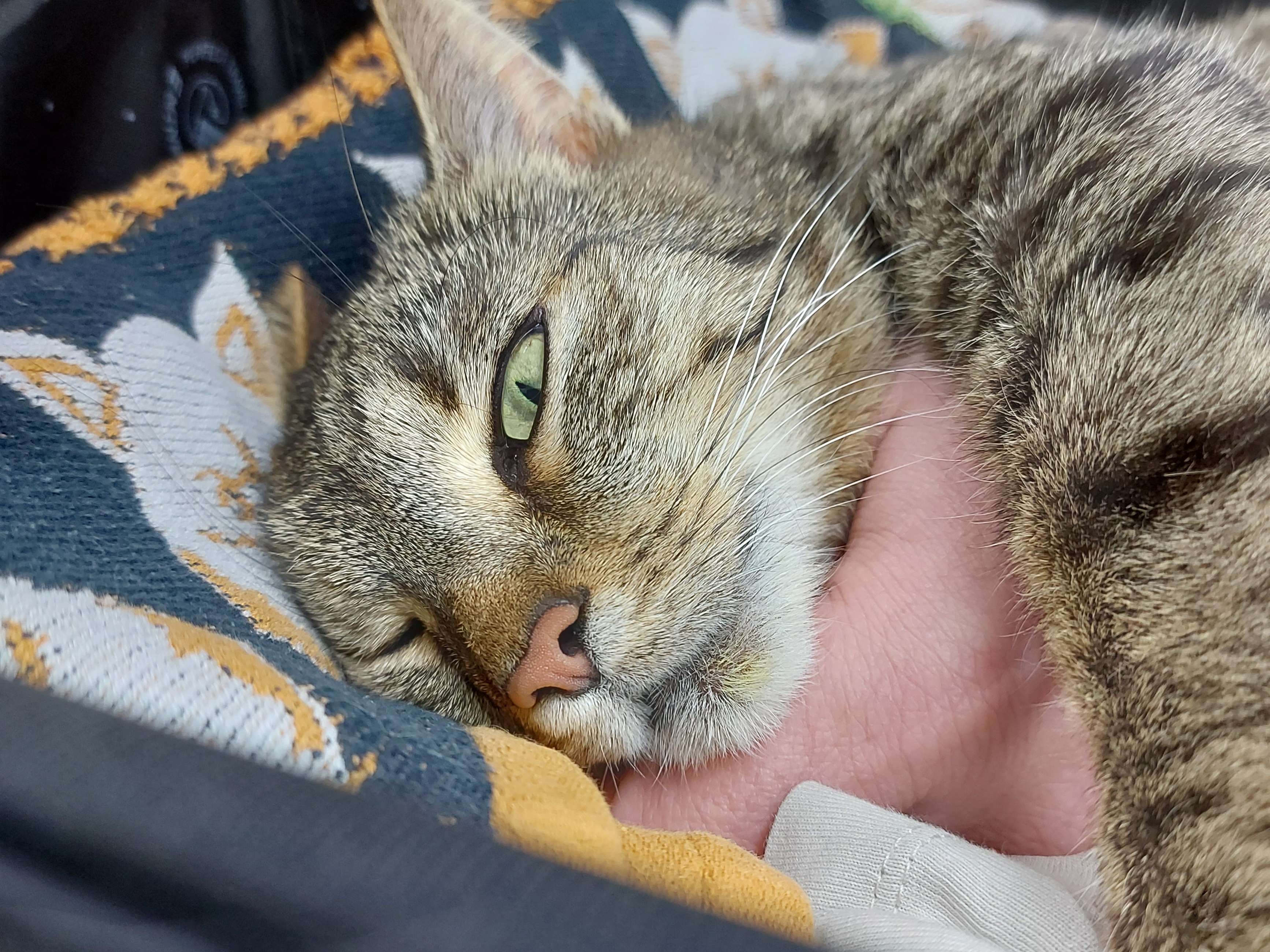 Ansicht 3 von Vet Zentrum Köln – Tierärztliche Klinik für Kleintiere