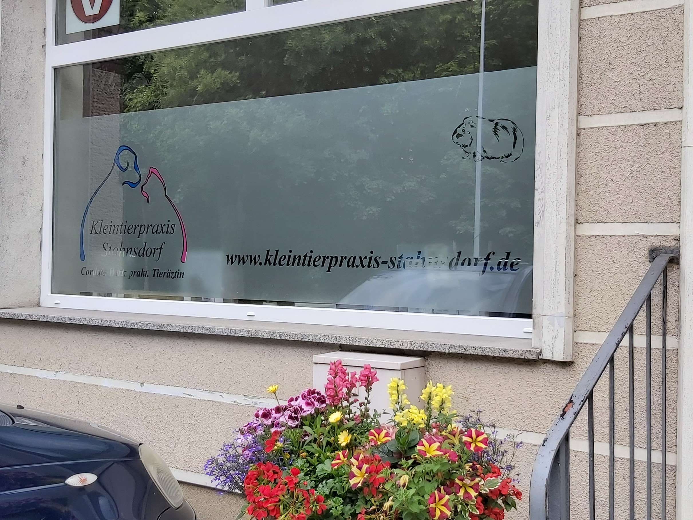 Ansicht 2 von Kleintierpraxis Stahnsdorf Tierärztin Cordula Wirtz