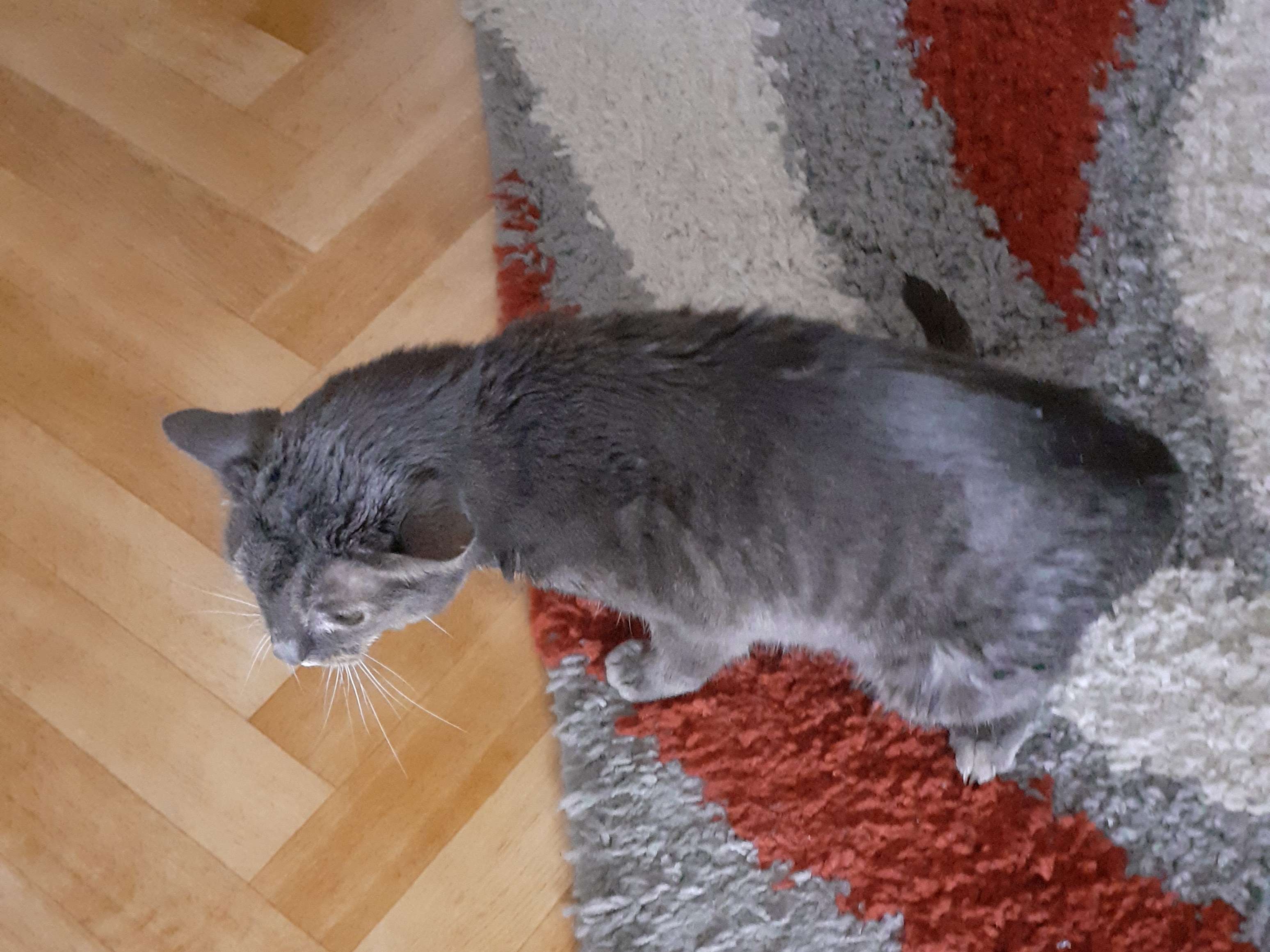 Ansicht 3 von Praktische Tierärztin Marion Kolsch
