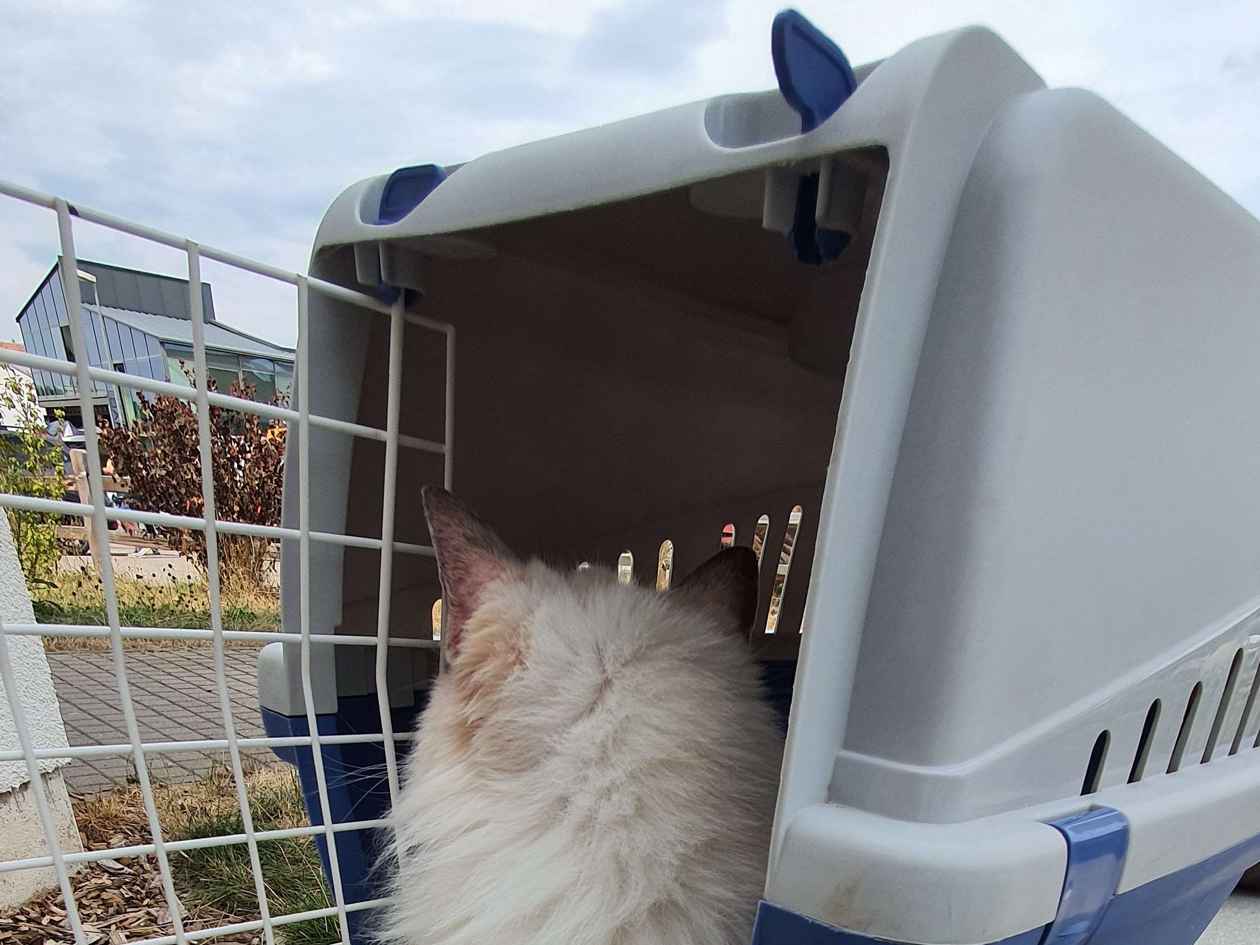 Ansicht 2 von Schwarzwald-Tierklinik