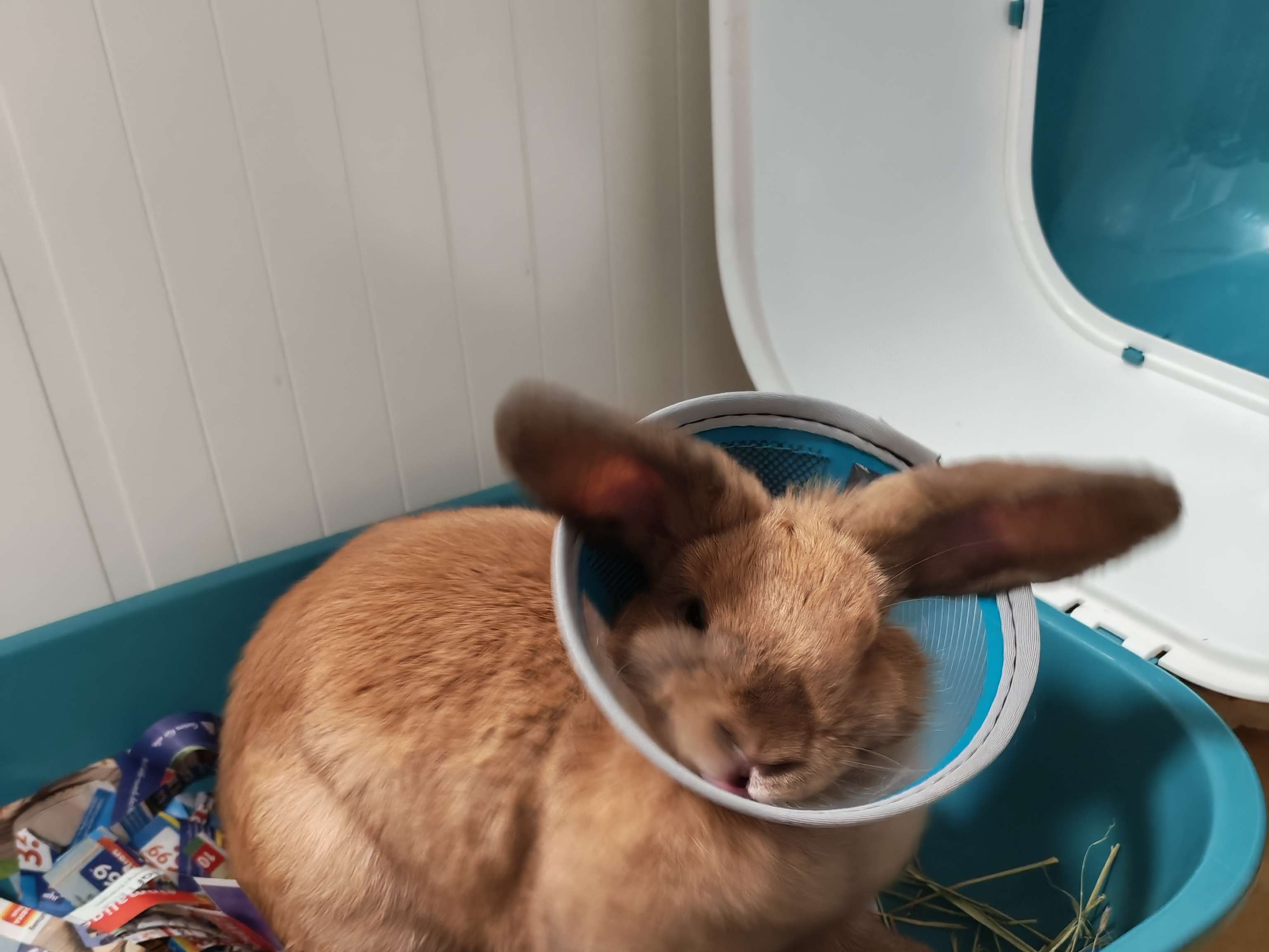 Ansicht 3 von Tierarztpraxis Dr. Erdmute Lipper
