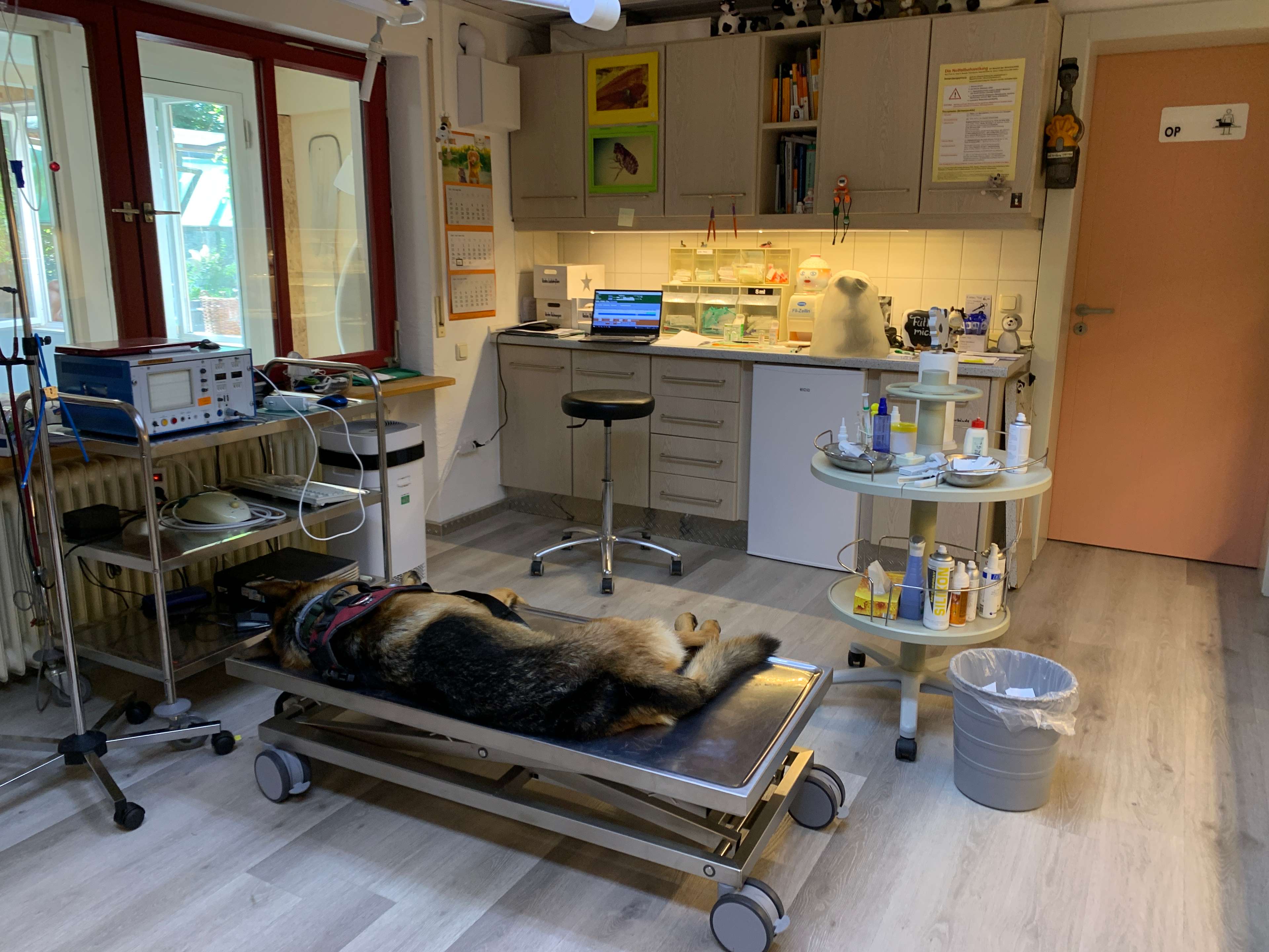 Ansicht 2 von Martin Schweihoff Praxis für kleine und grosse Haustiere