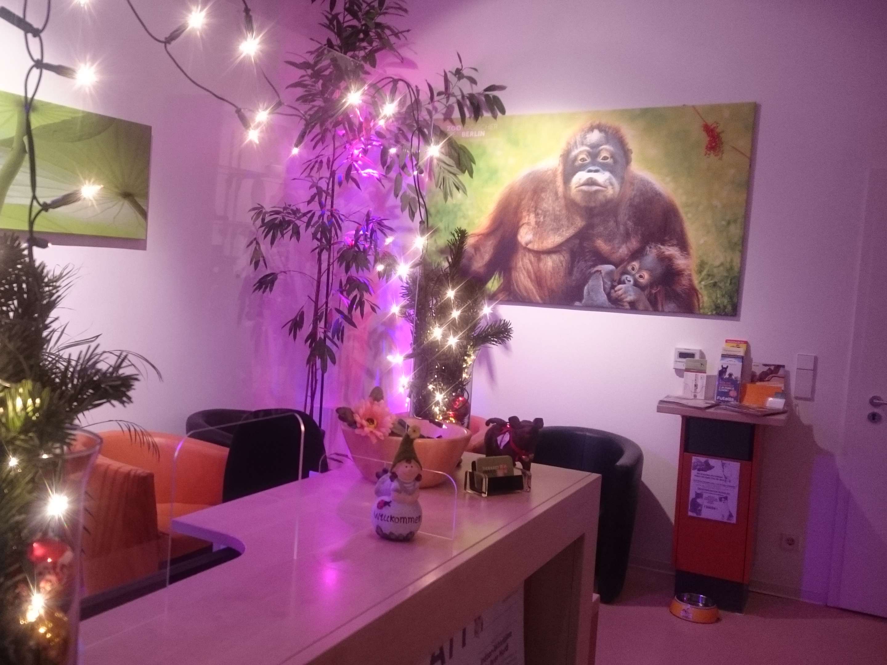 Ansicht 1 von Tierarztpraxis Dr. Miriam Oczipka