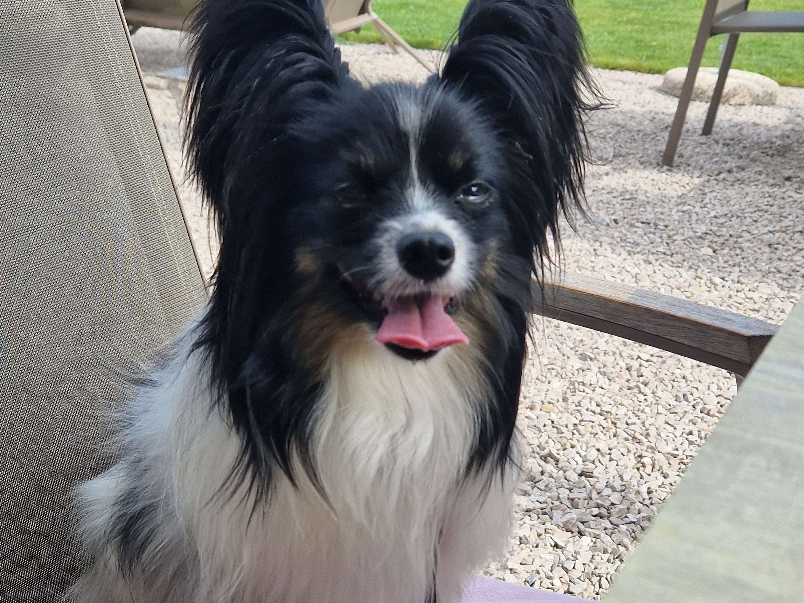 View 3 of www.der-tierarzt.com Mag. Melanie Hetzer