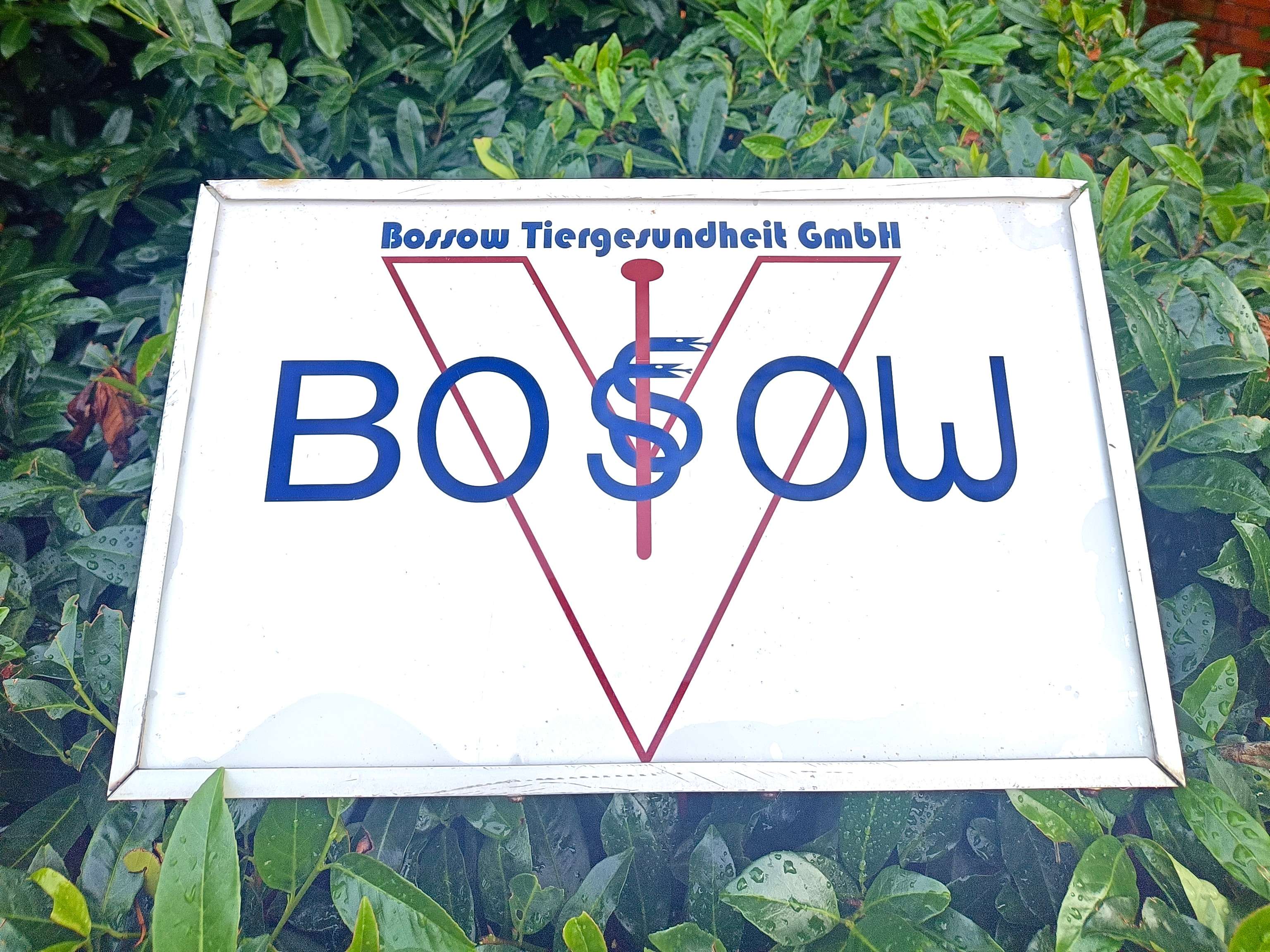 Ansicht 1 von Bossow Tiergesundheit GmbH