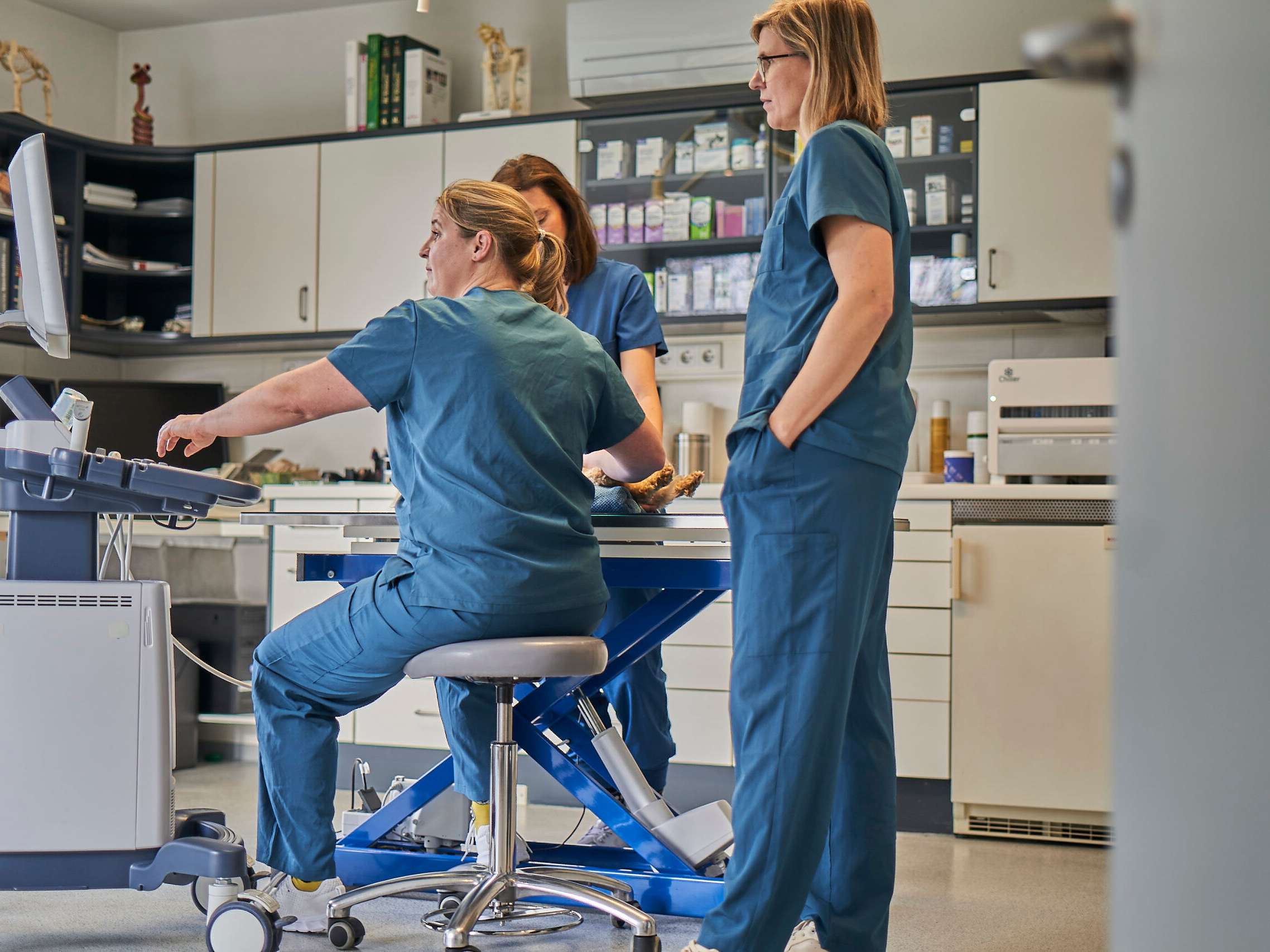 View 3 of Kleintiermedizin Dr. Raith & Dr. Preyß-Jägeler