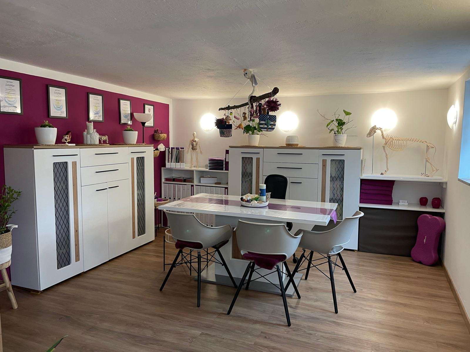 Ansicht 1 von Physio-Osteo-Hunde-Zentrum