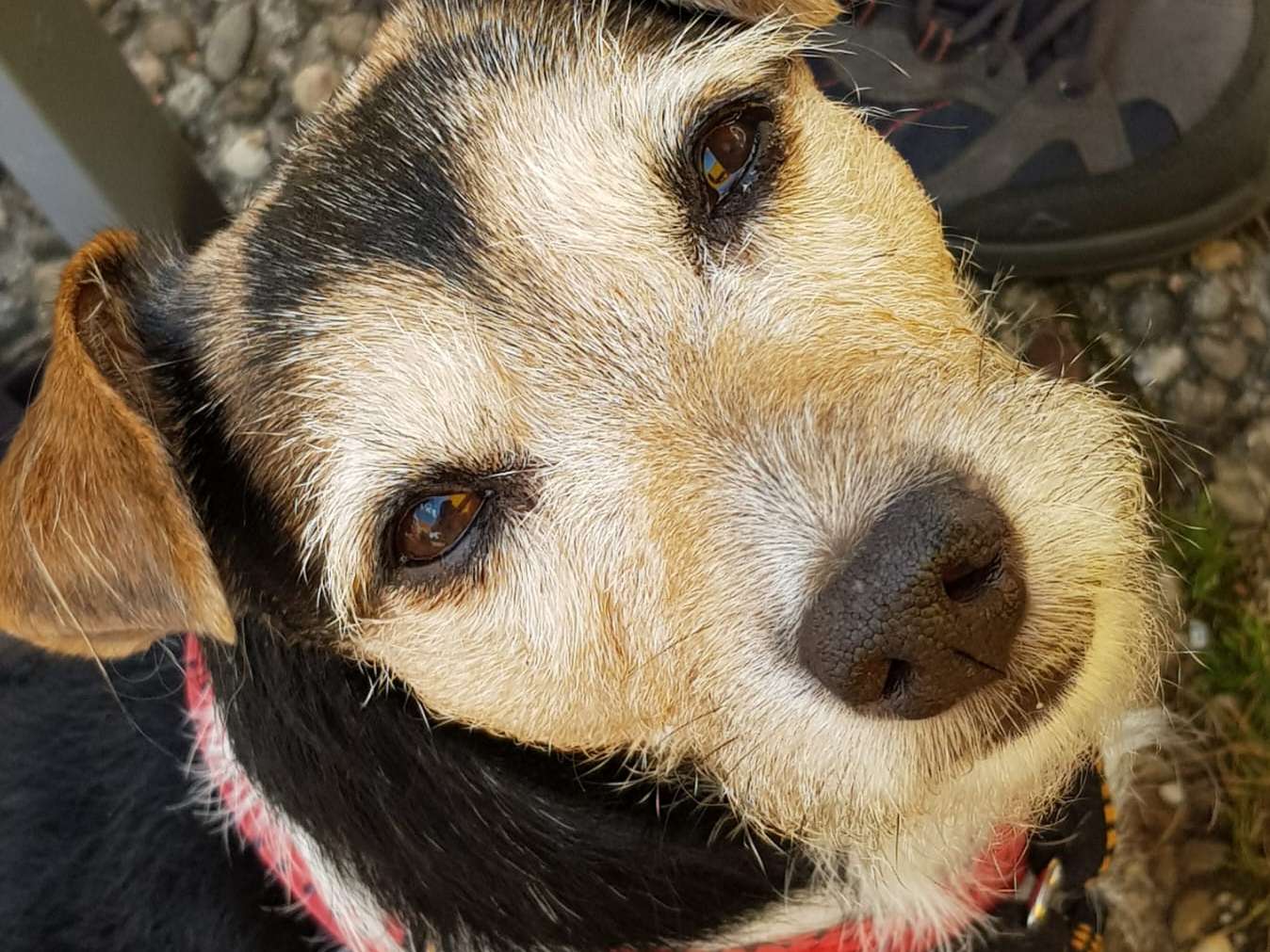 Ansicht 1 von Amon Tierarztpraxis