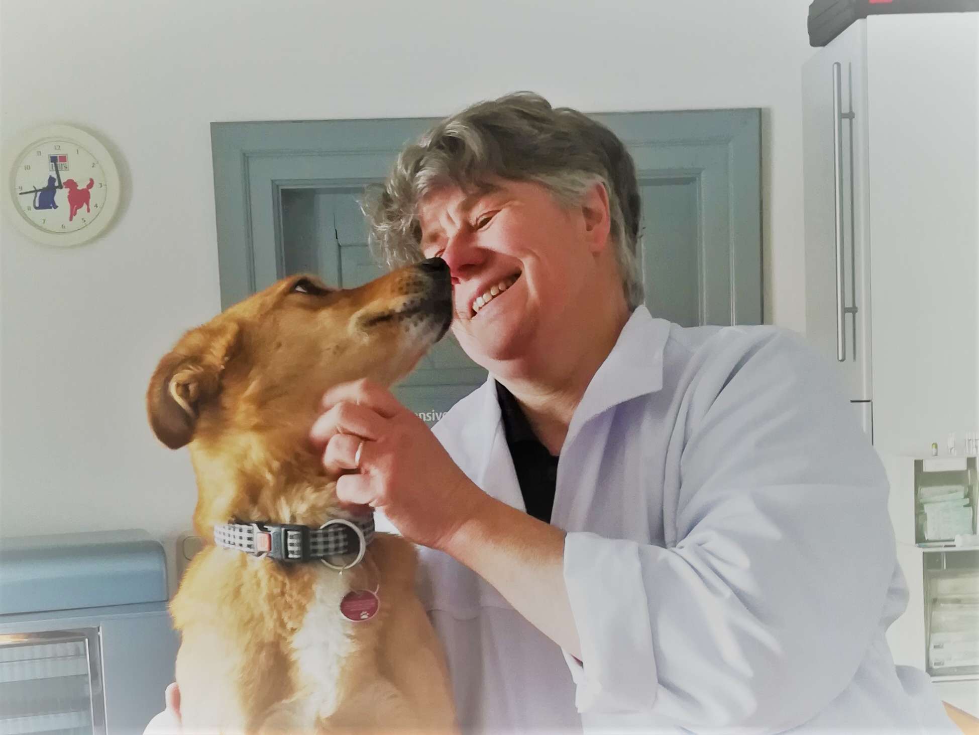 Ansicht 1 von Tierarztpraxis Dr. Grebenau-Klehr