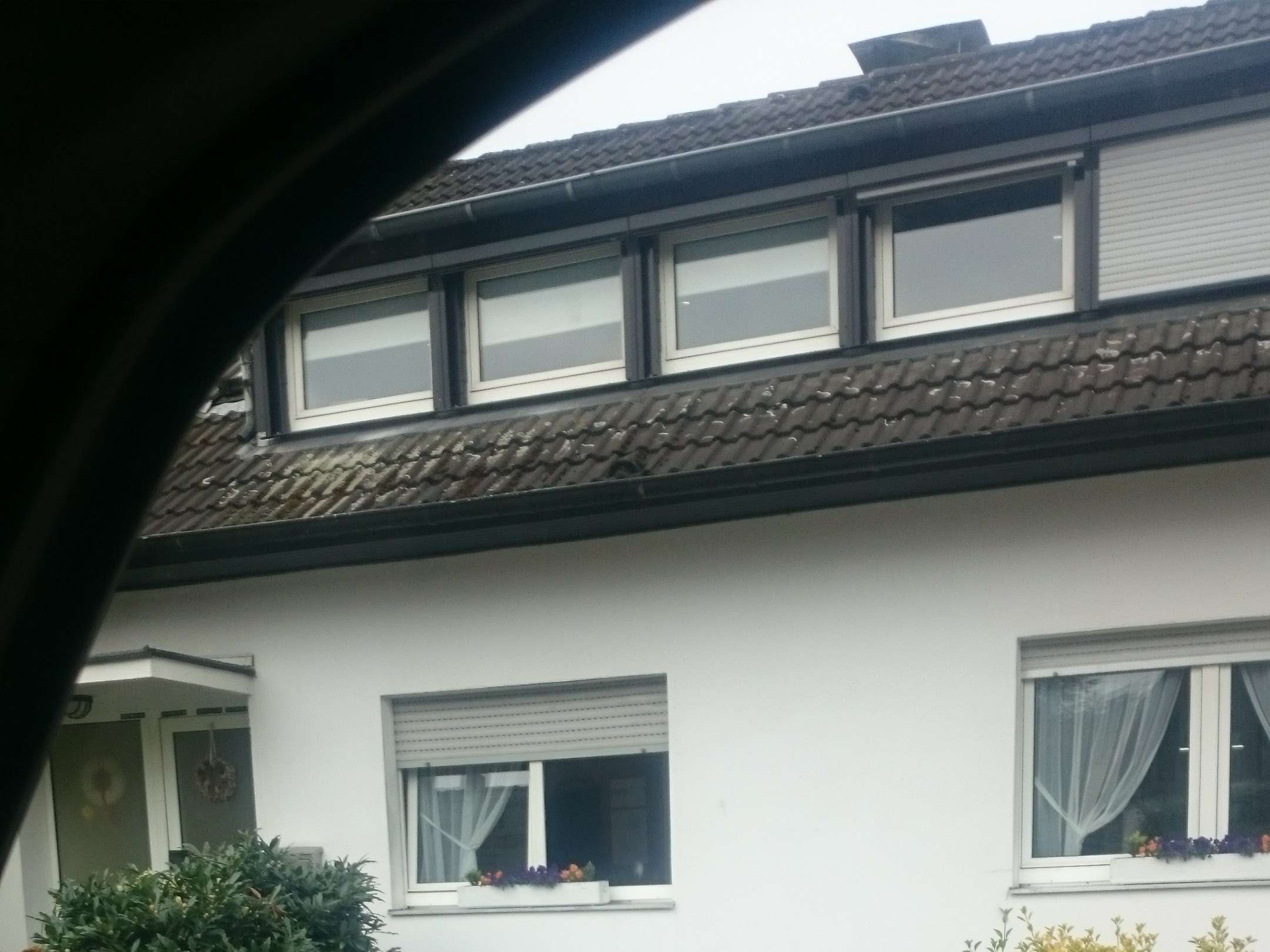 Ansicht 2 von Ralph Brucherseifer Prakt. Mobiler Tierarzt