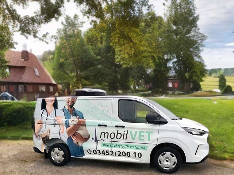 Ansicht 3 von mobilVET - Ihre Tierärzte für zu Hause🐾