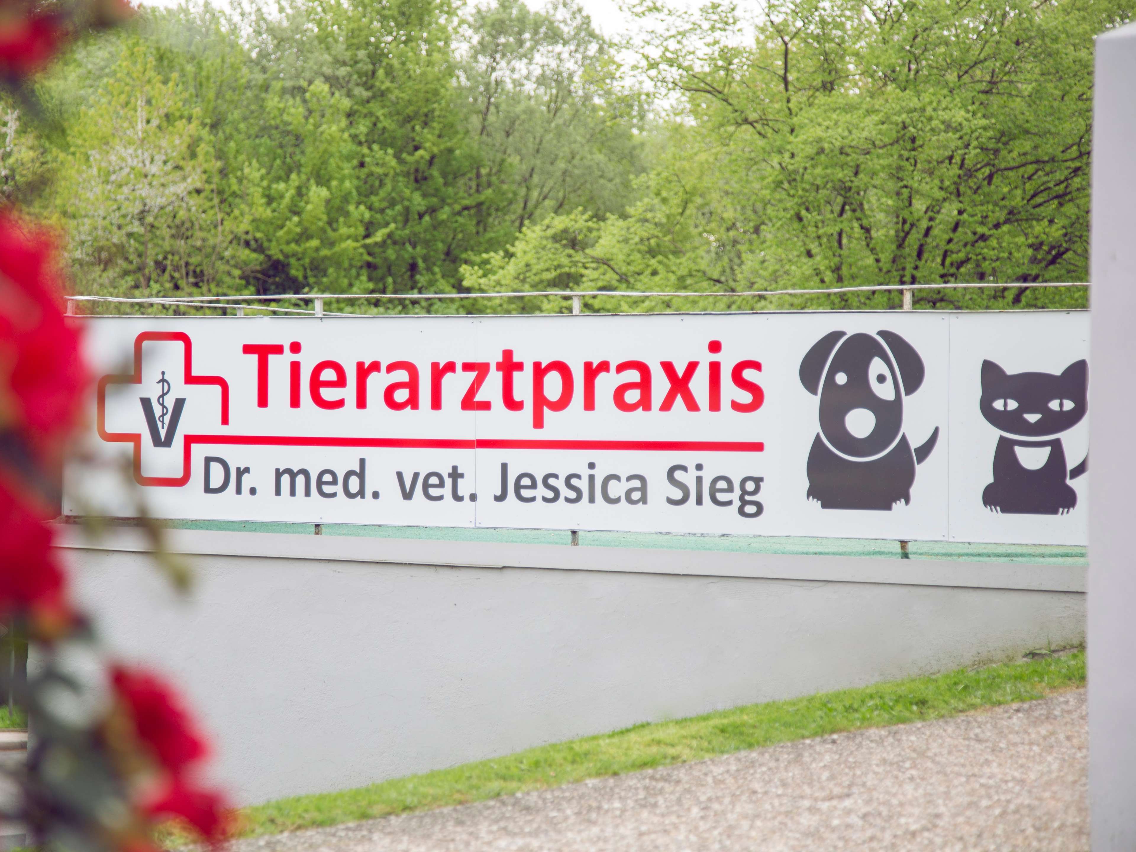 Ansicht 1 von Tierarztpraxis Dr. Jessica Sieg -Fachtierärztin für Kleintiere
