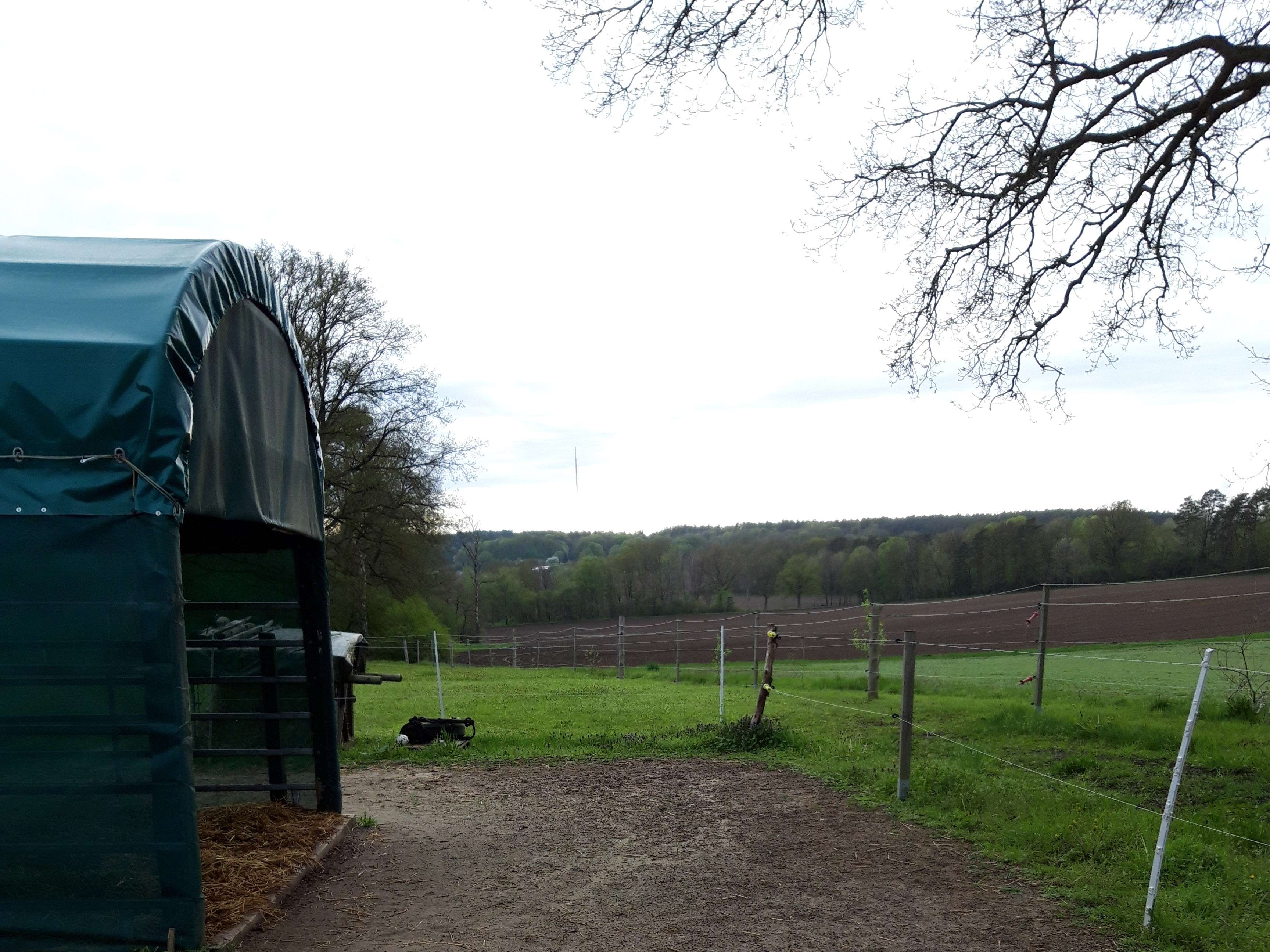 View 2 of Dr. med. vet. Bernd Haake