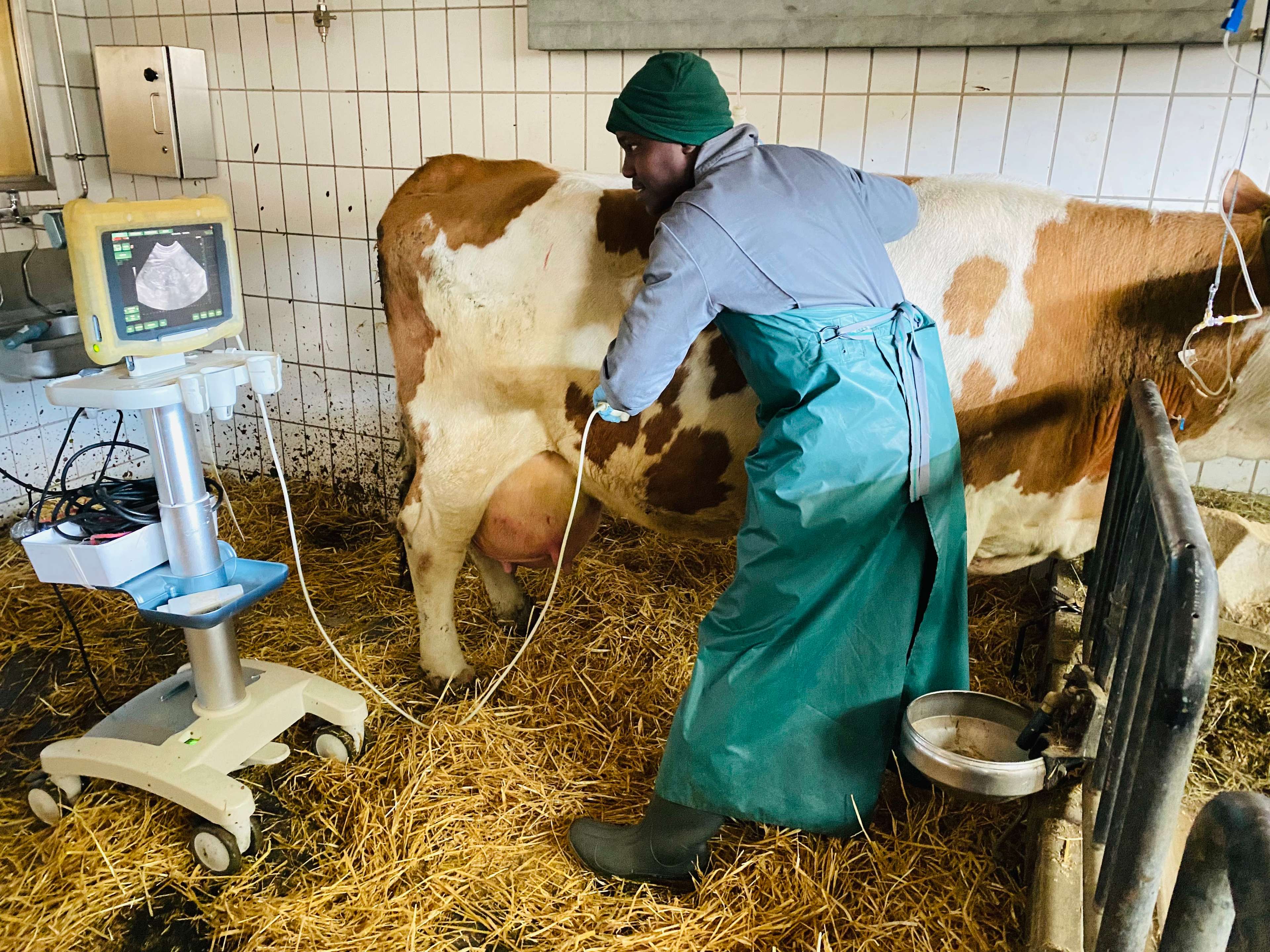 Ansicht 2 von Klinik für Wiederkäuer, LMU München