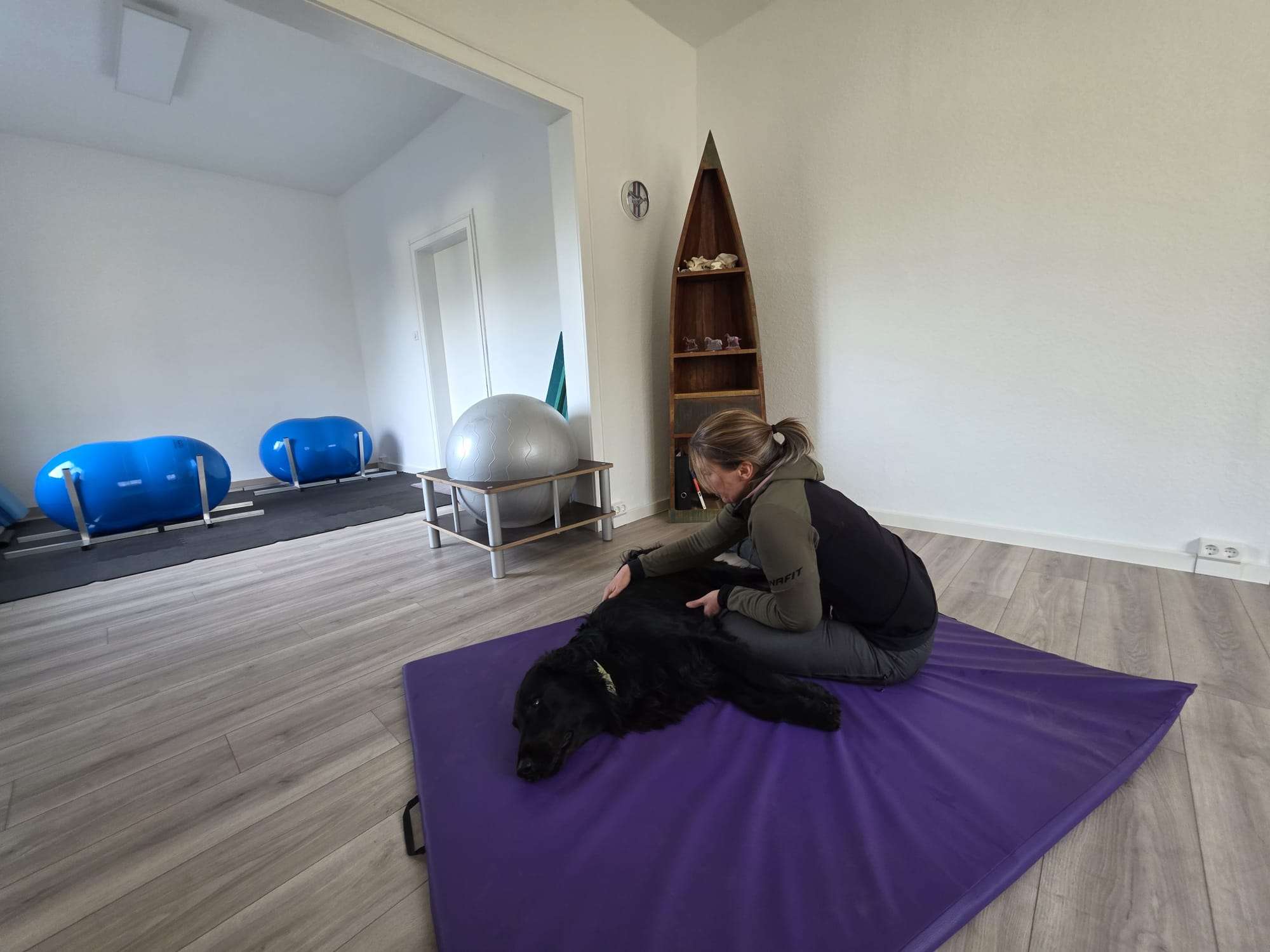 Ansicht 3 von Osteopathie und Bioresonanz für Pferd & Hund