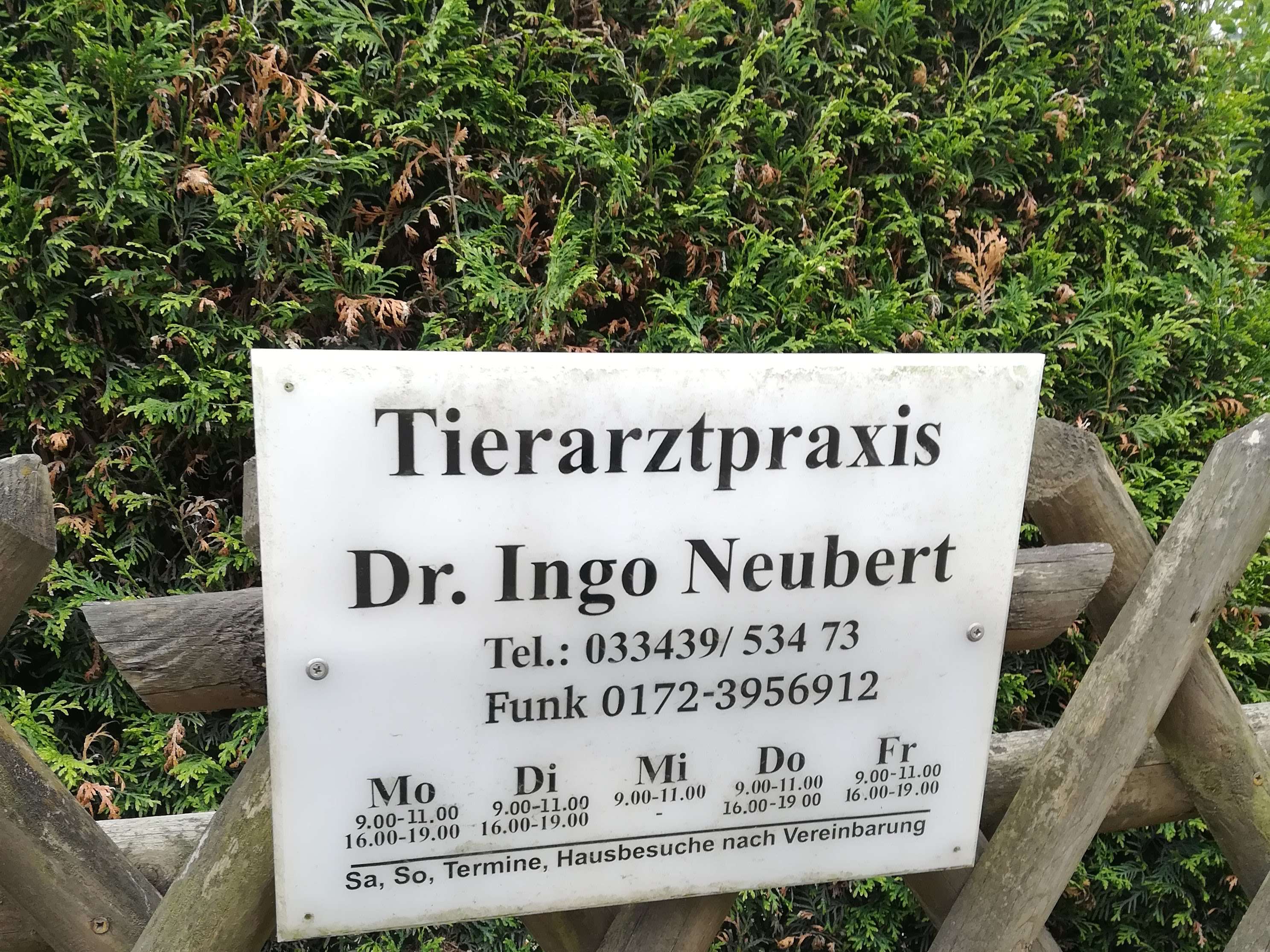 View 5 of Ingo Neubert